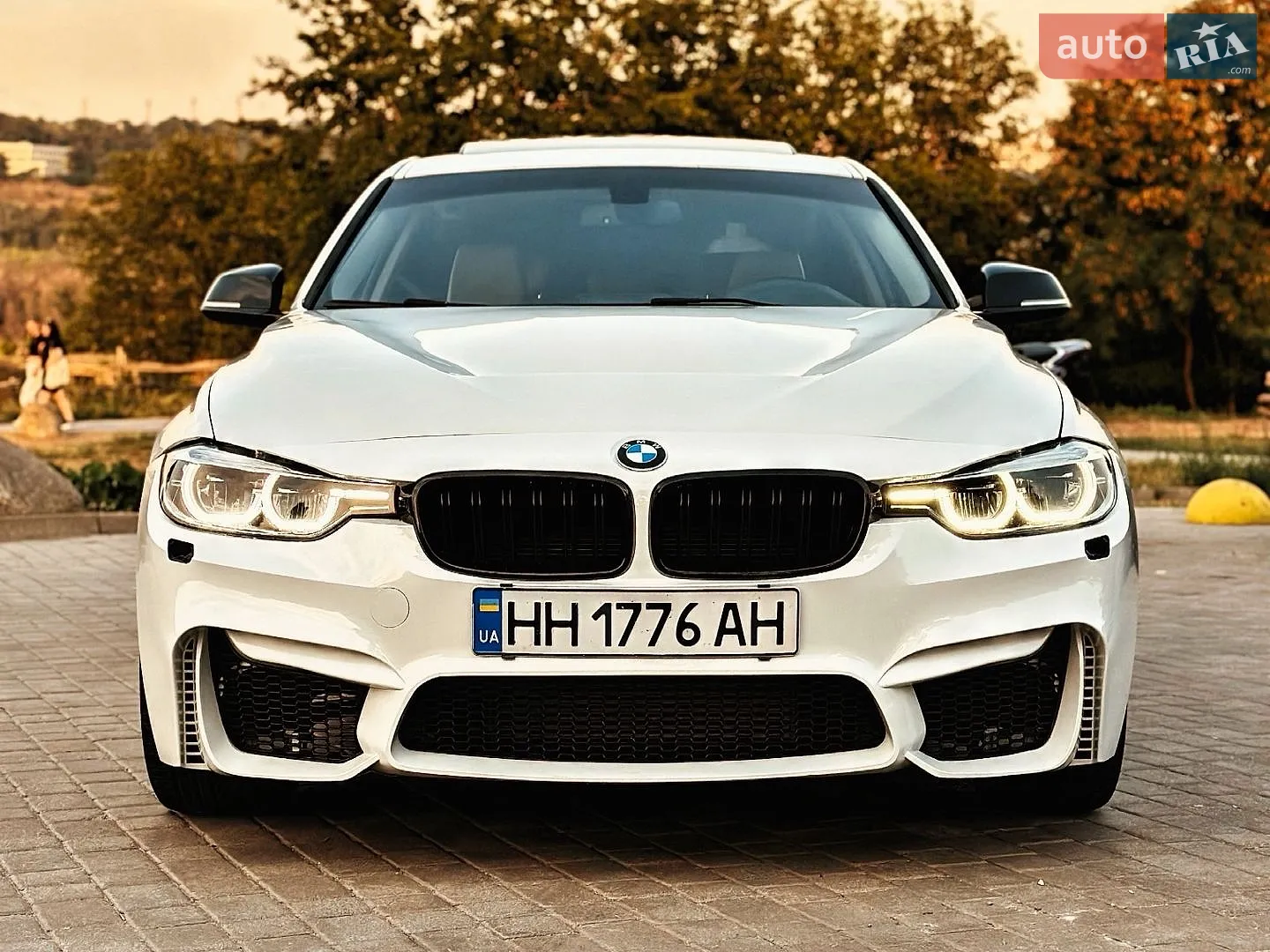 2015 BMW 3er - мініатюра 6