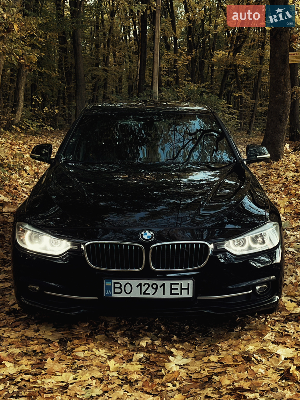 2017 BMW 3er - мініатюра 29