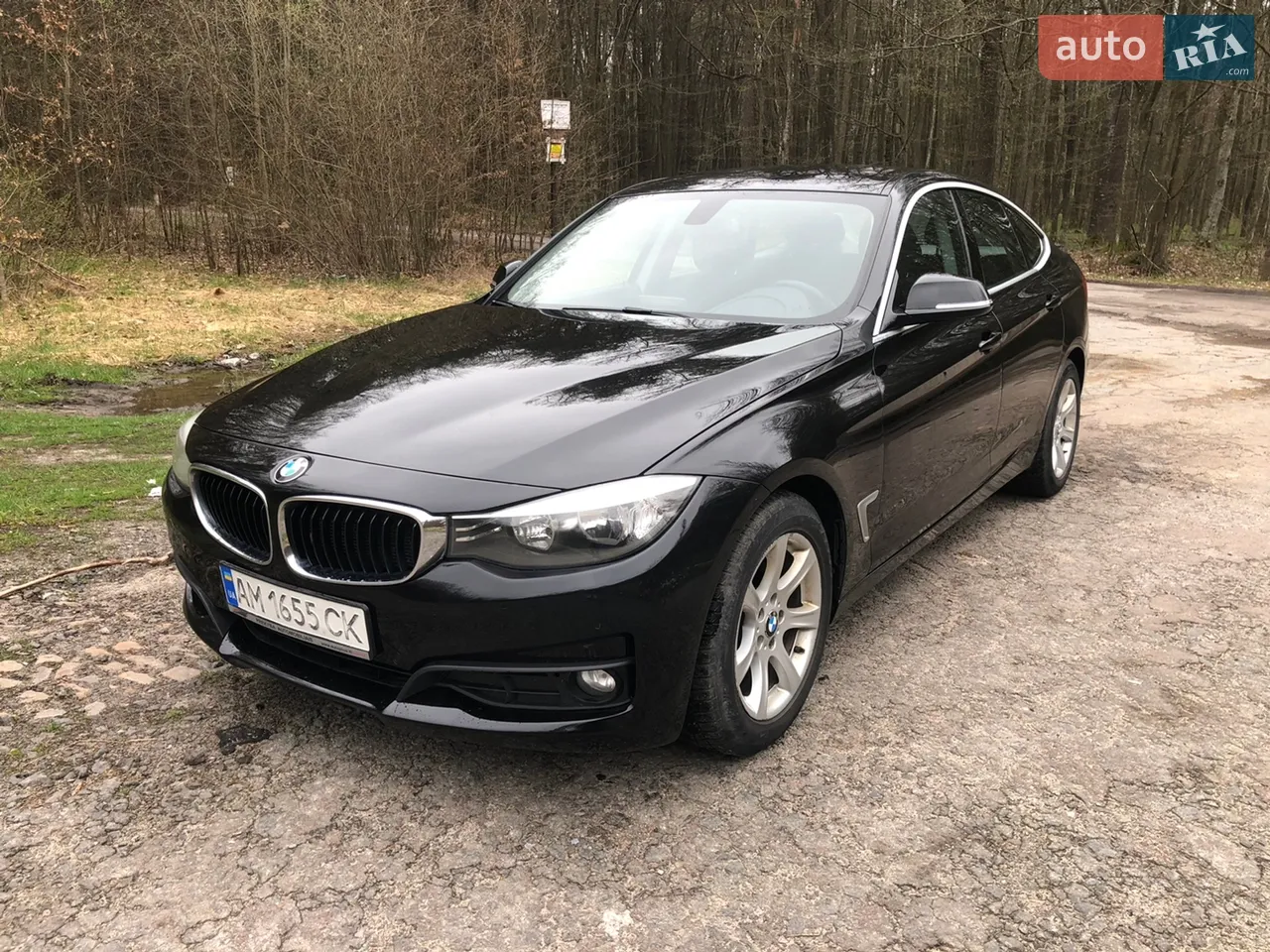 2014 BMW 3er - мініатюра 20