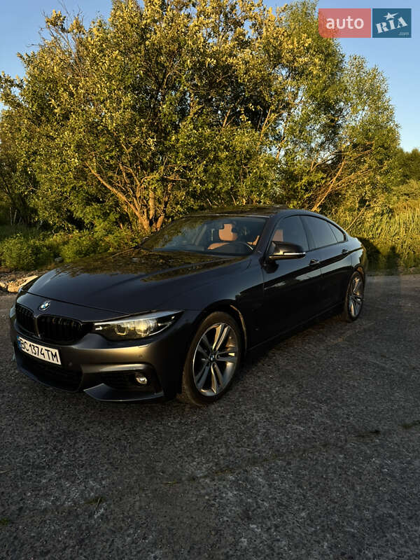 BMW 4 Series Gran Coupe 2018 BMW 4 Series Gran Coupe 2018
