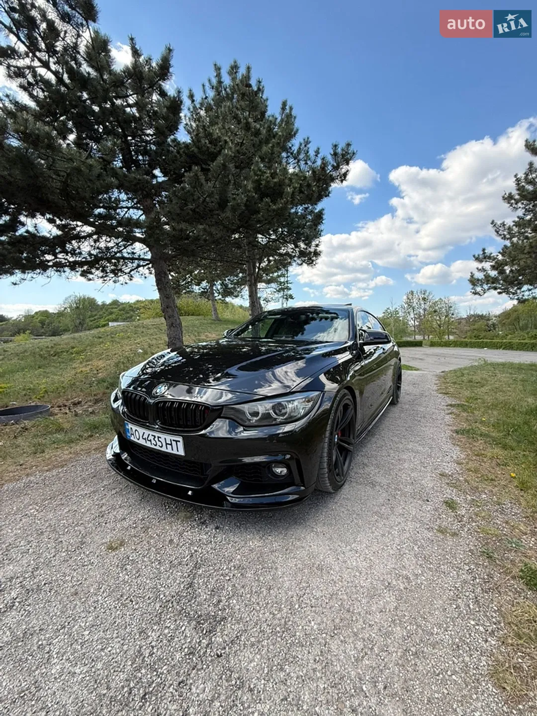 2015 BMW 4er - мініатюра 2