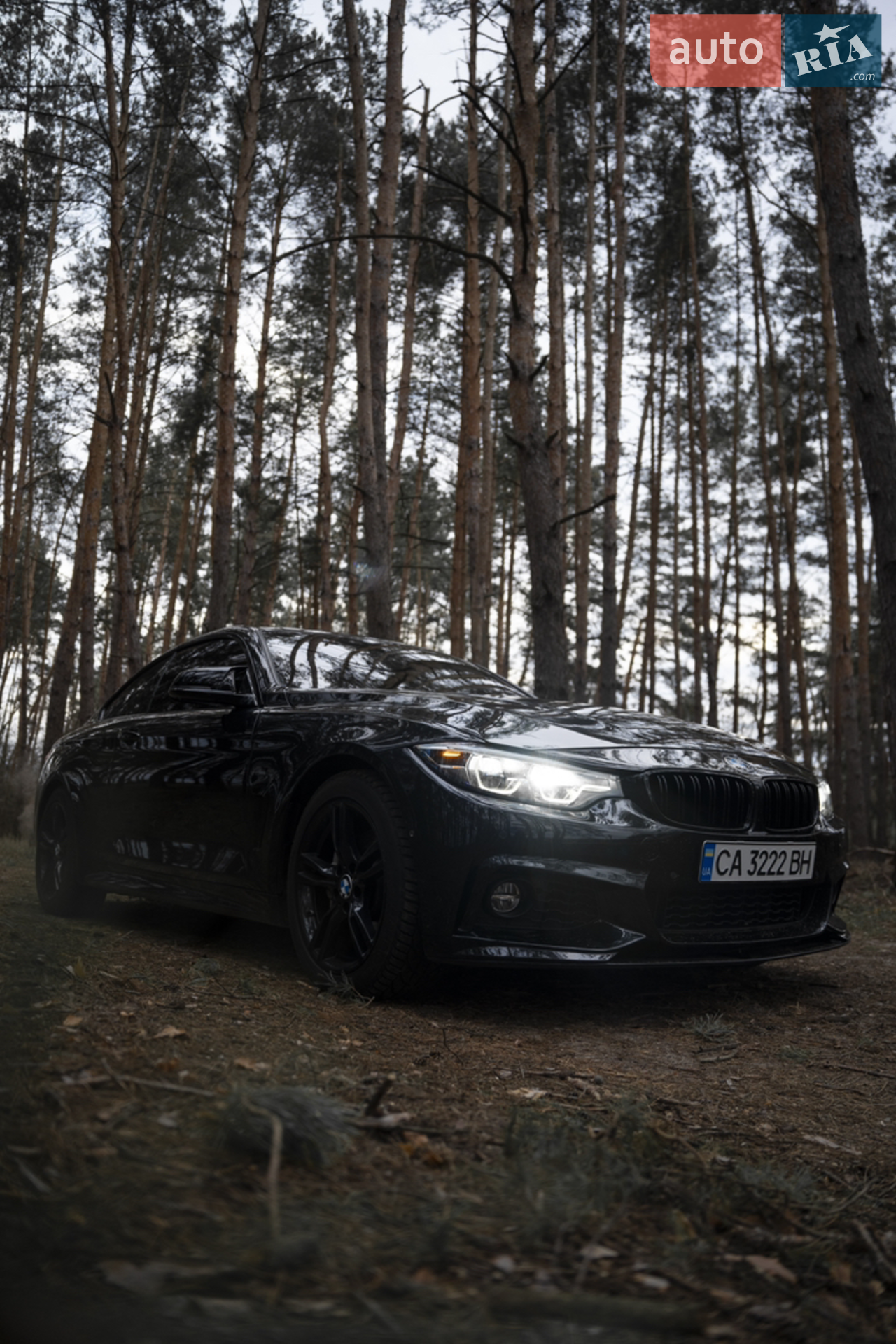 2017 BMW 4er - мініатюра 2
