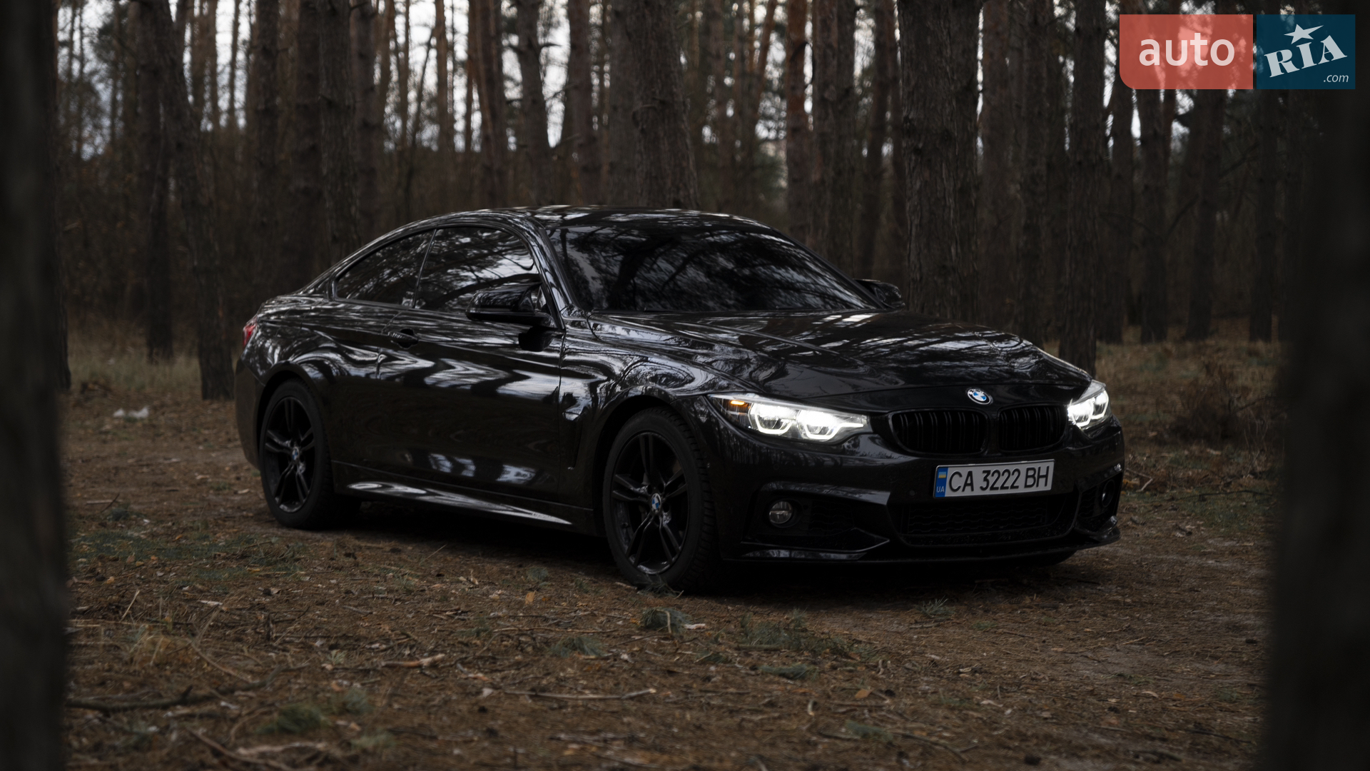 2017 BMW 4er - мініатюра 5