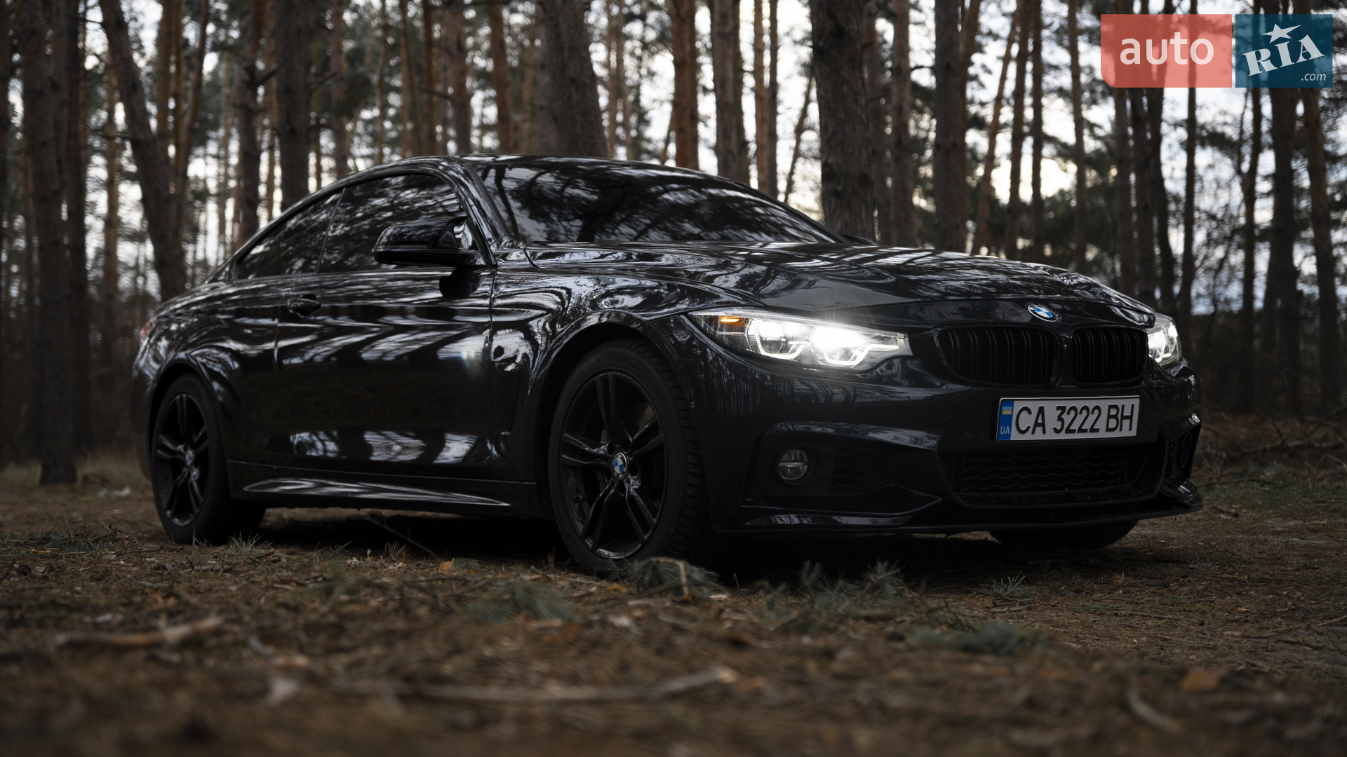 2017 BMW 4er - мініатюра 7