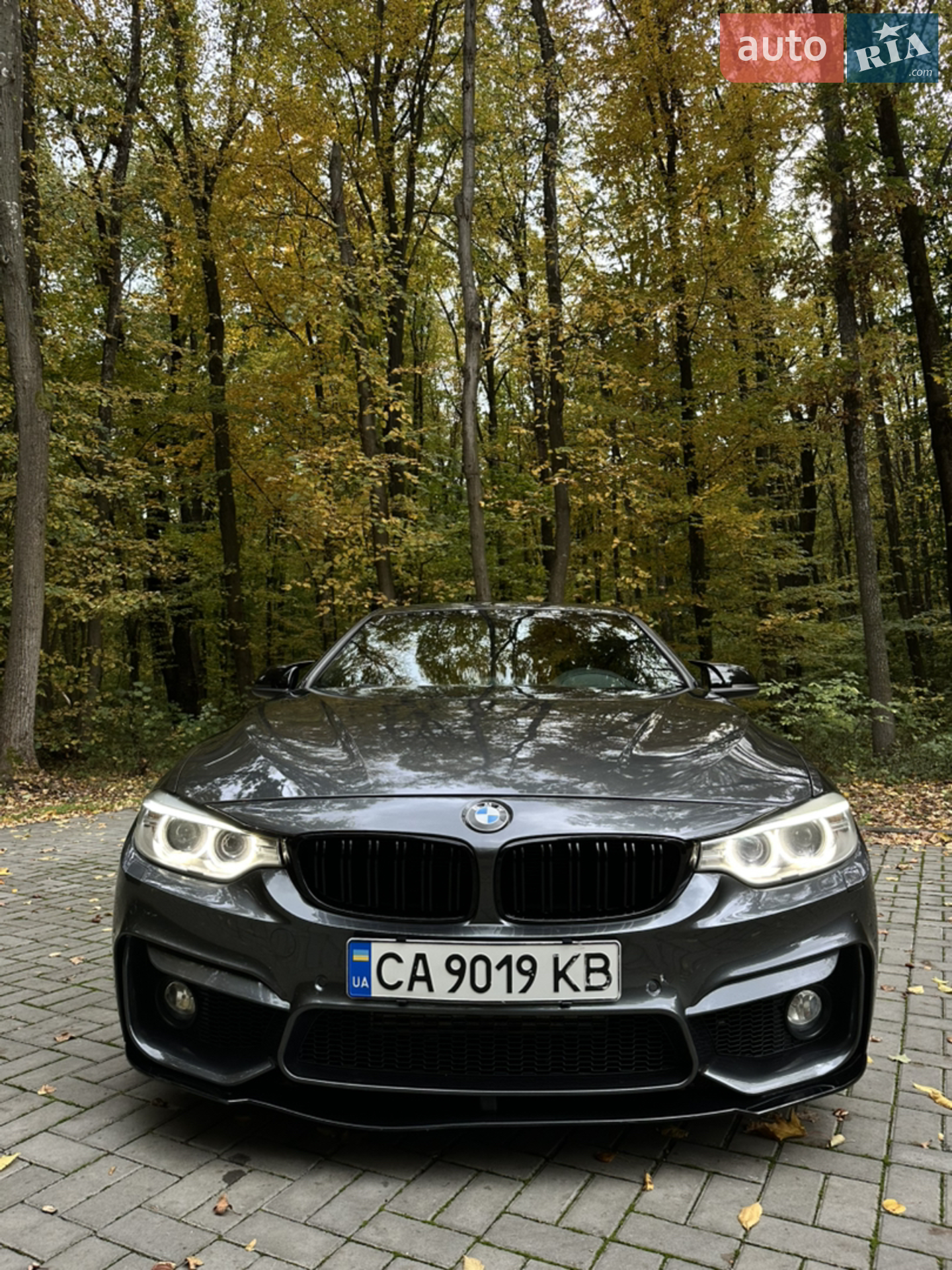 2016 BMW 4er - мініатюра 3