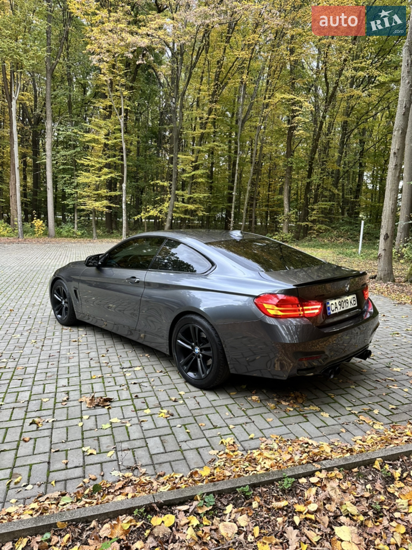 2016 BMW 4er - мініатюра 9