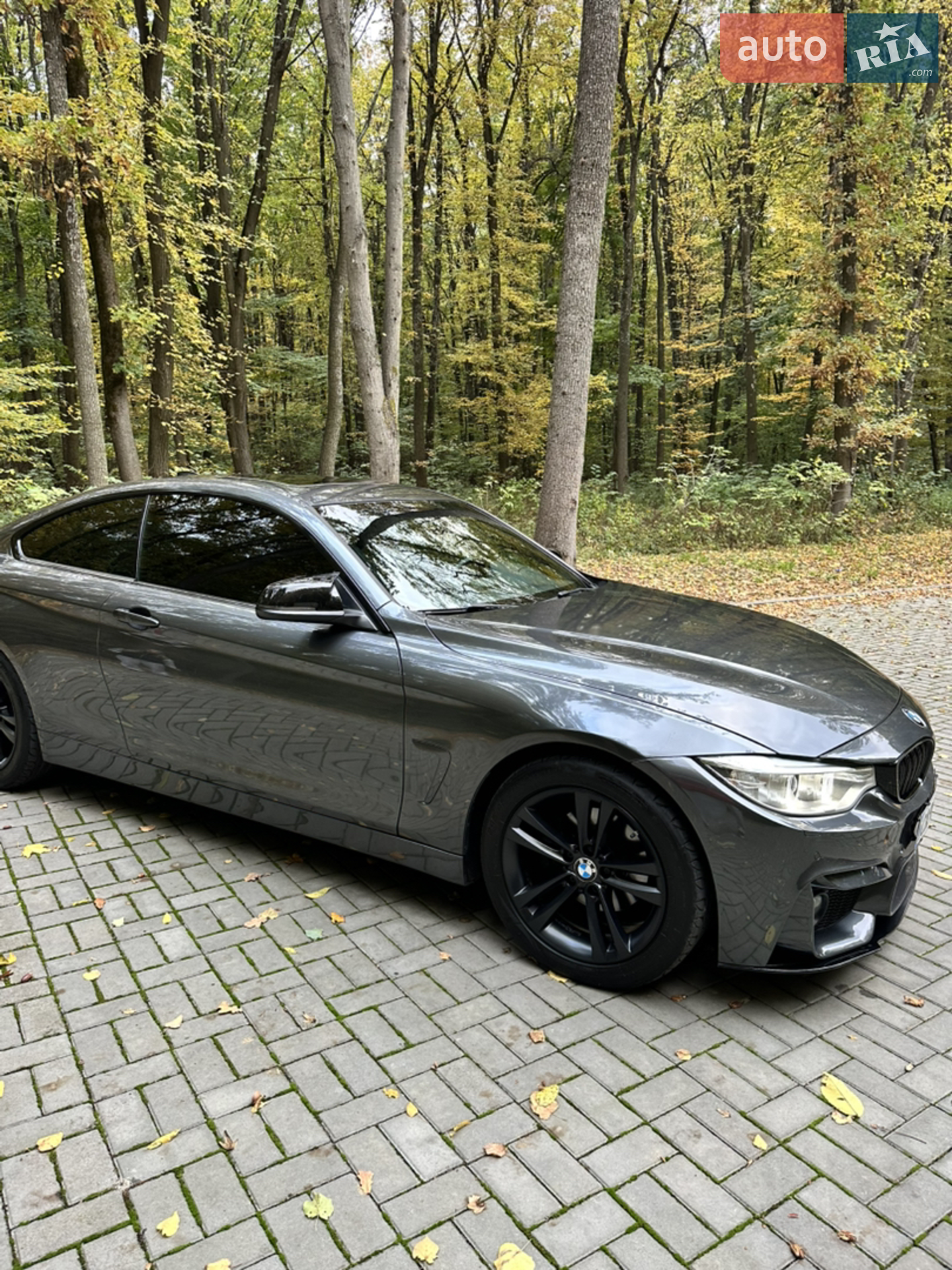 2016 BMW 4er - мініатюра 14