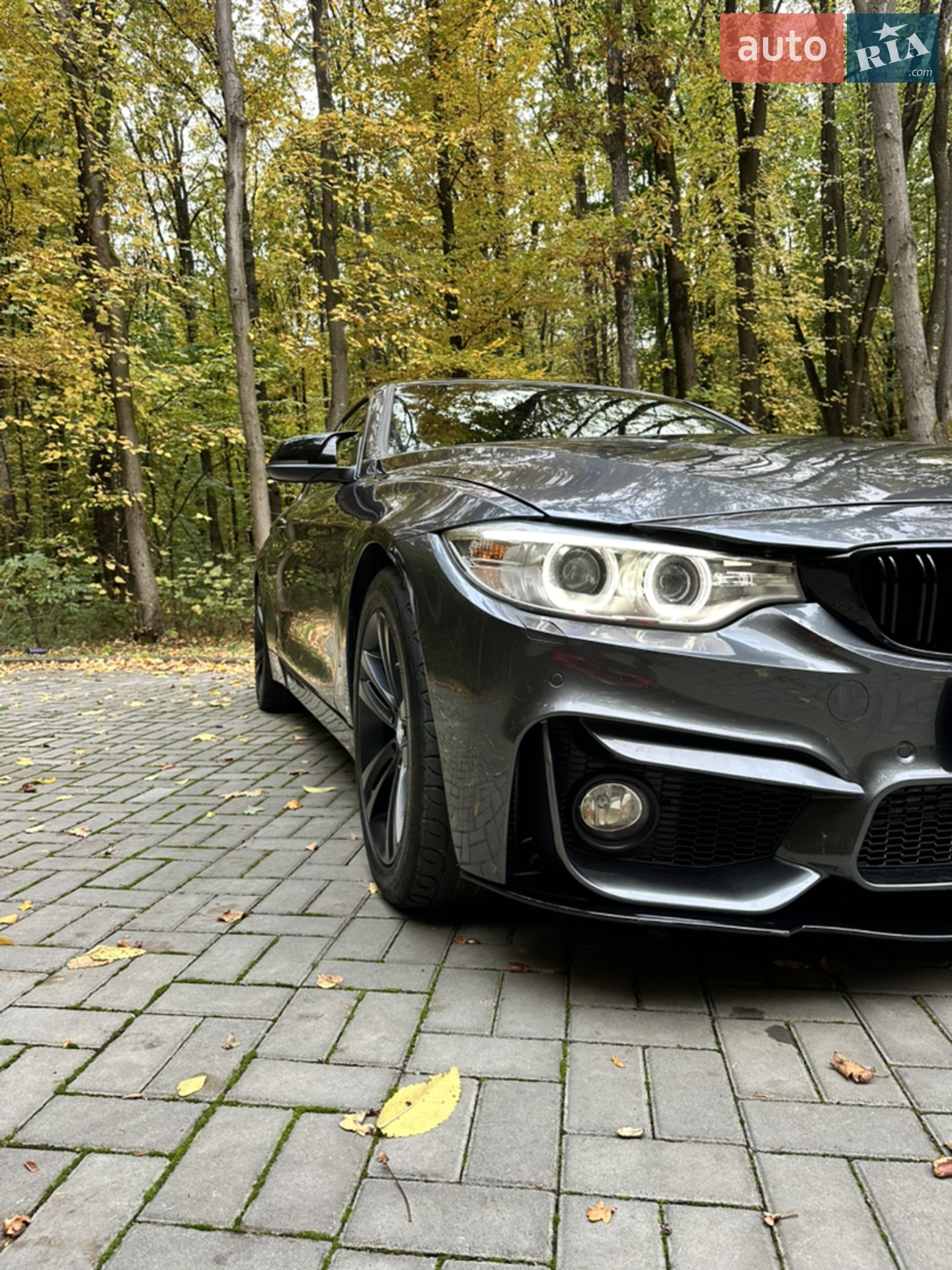 2016 BMW 4er - мініатюра 15