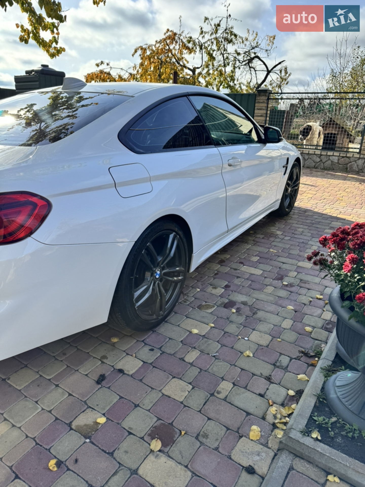 2014 BMW 4er - мініатюра 13