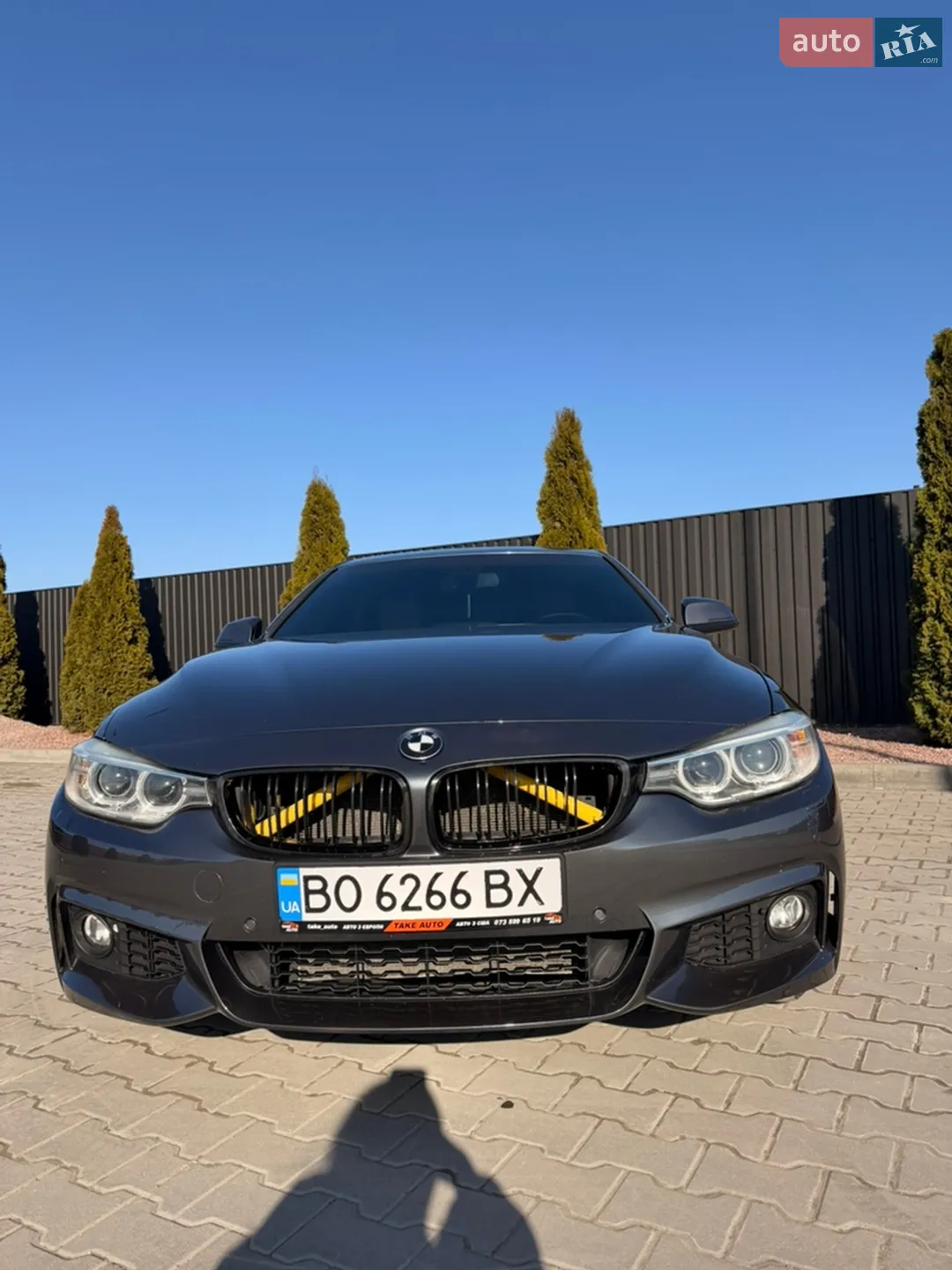 2016 BMW 4er - мініатюра 2