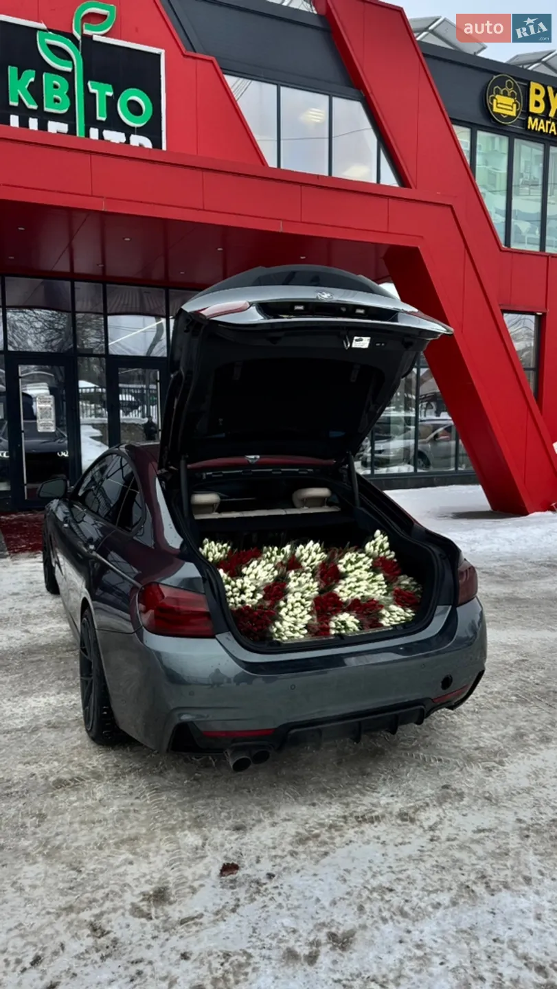 2016 BMW 4er - мініатюра 47