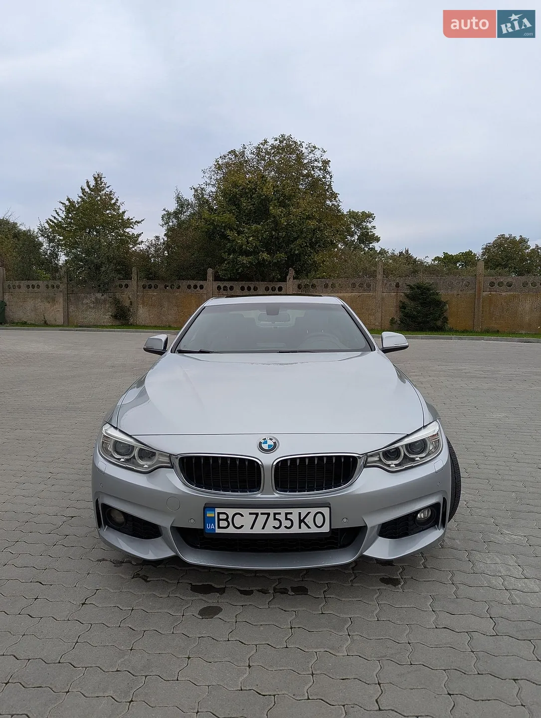 2015 BMW 4er - мініатюра 2
