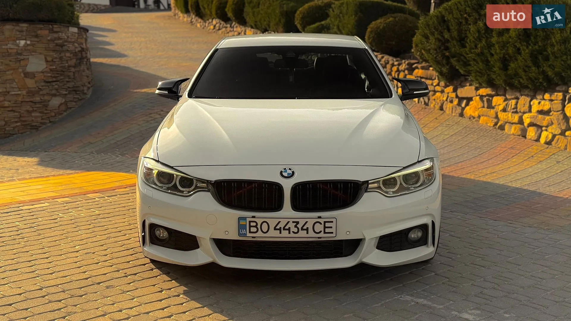 2014 BMW 4er - мініатюра 4