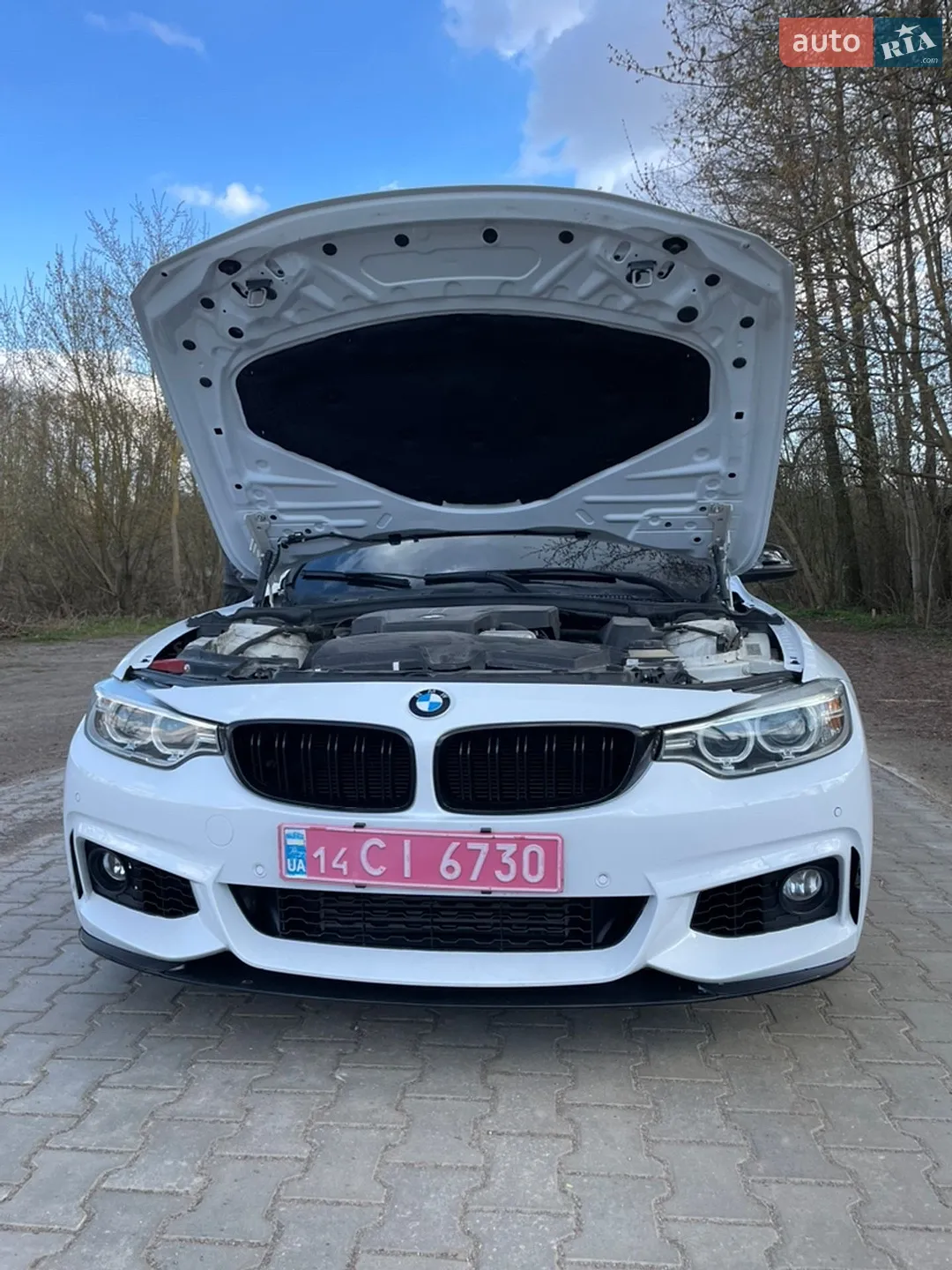 2014 BMW 4er - мініатюра 22