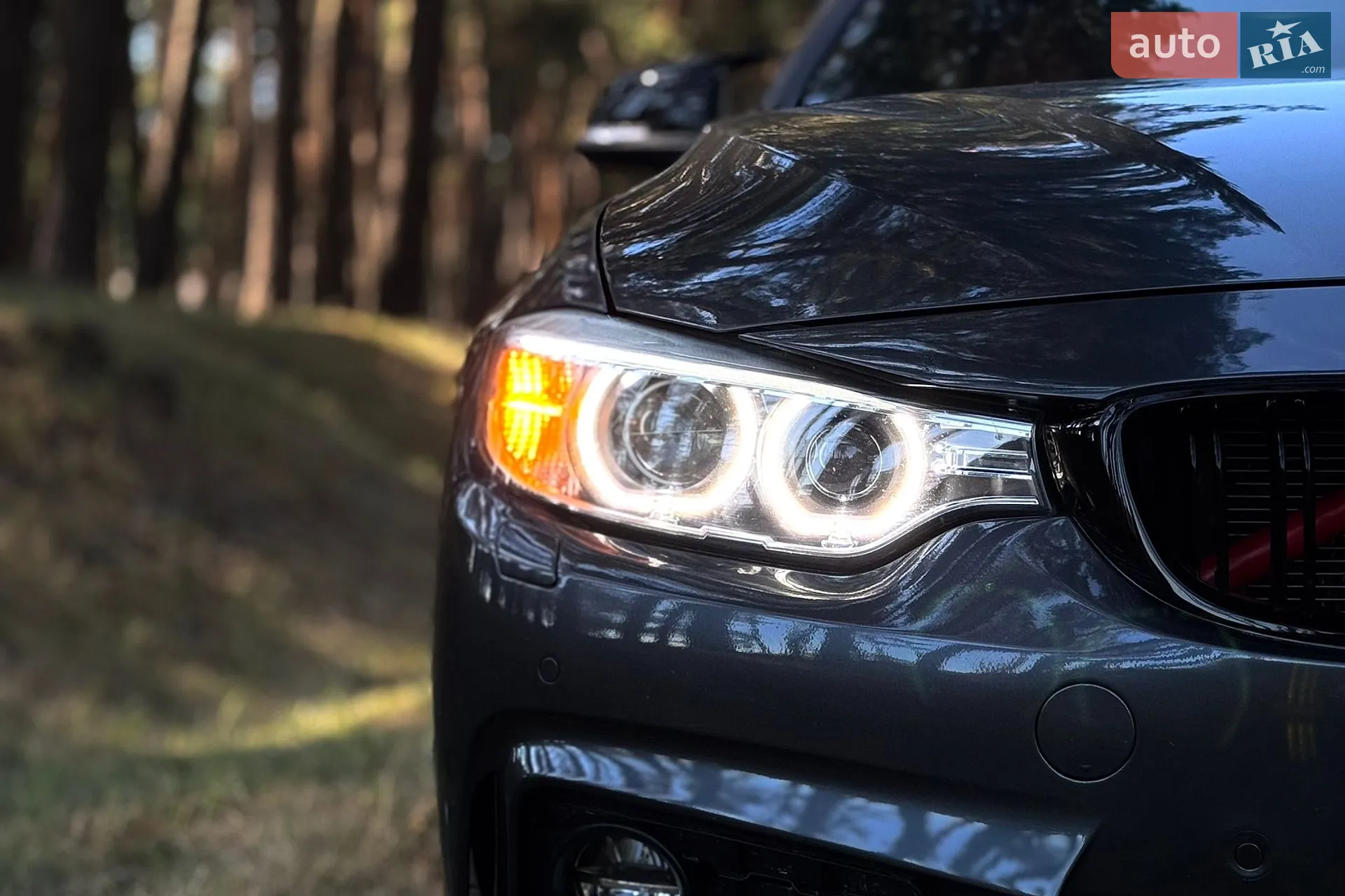 2016 BMW 4er - мініатюра 11