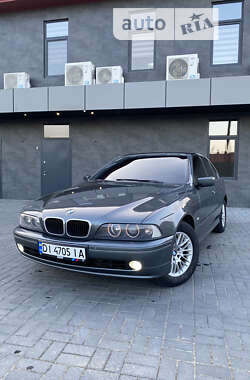 Седан BMW 5 Series 2003 в Костопілі