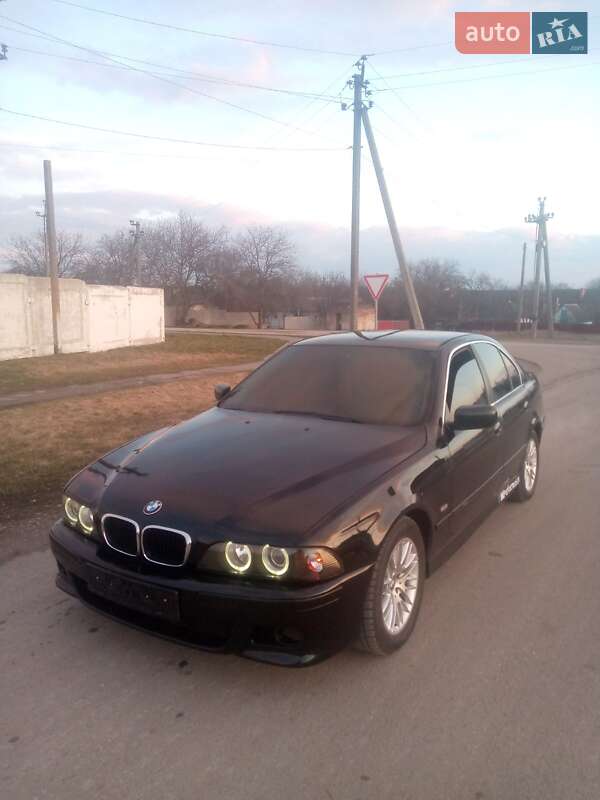 Седан BMW 5 Series 2001 в Карловке фото 4 Седан BMW 5 Series 2001 в Карловке