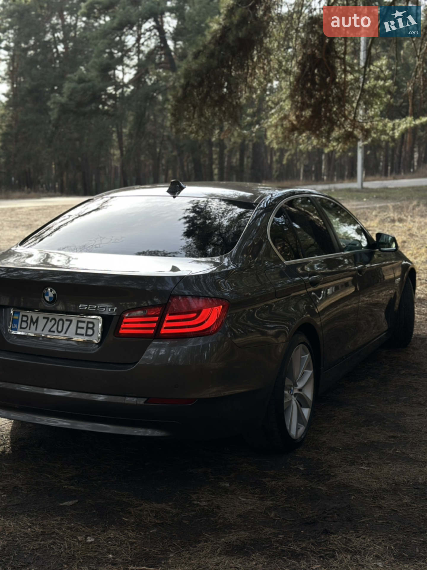 2010 BMW 5er - мініатюра 6