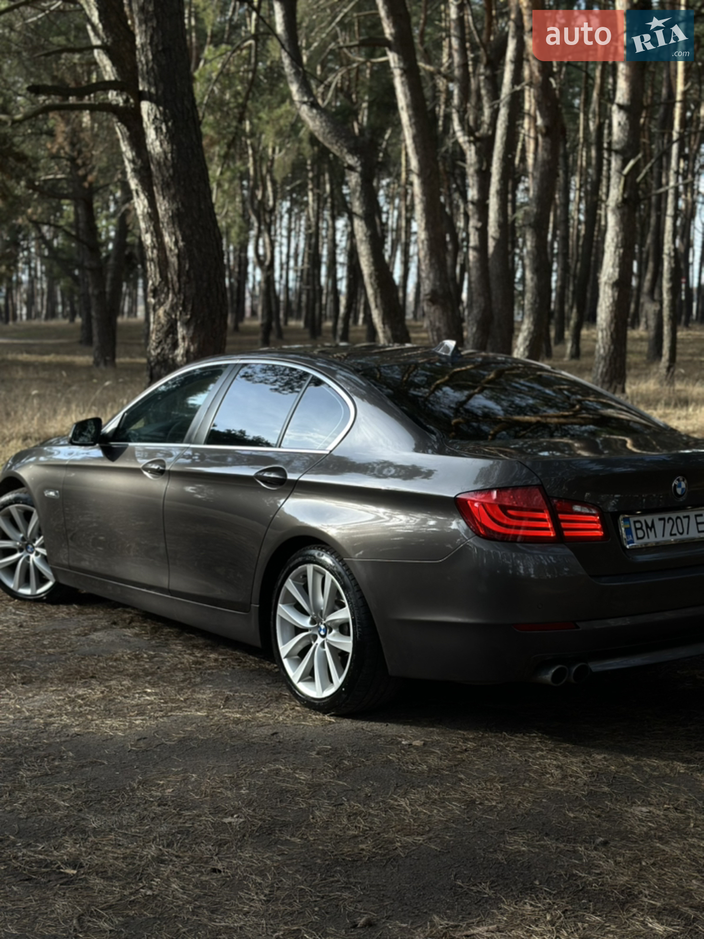 2010 BMW 5er - мініатюра 4