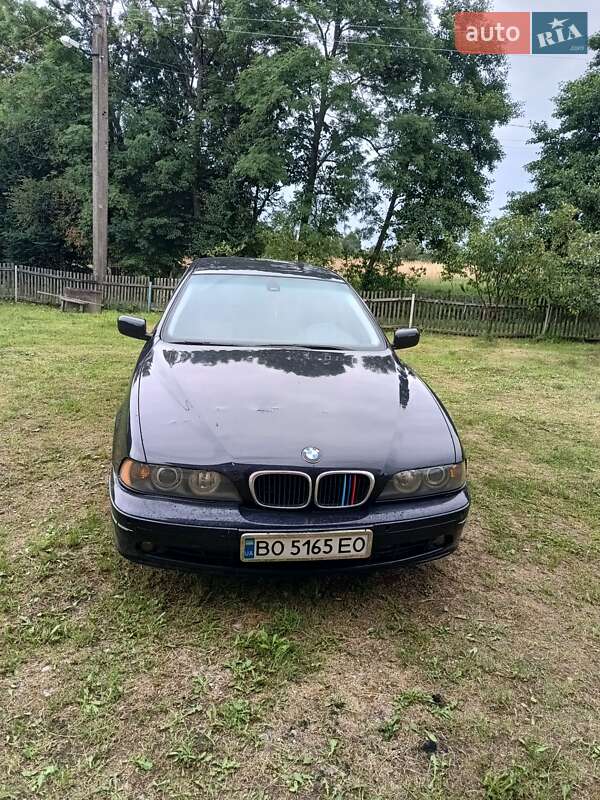 BMW 5 Series 2000 BMW 5 Series 2000