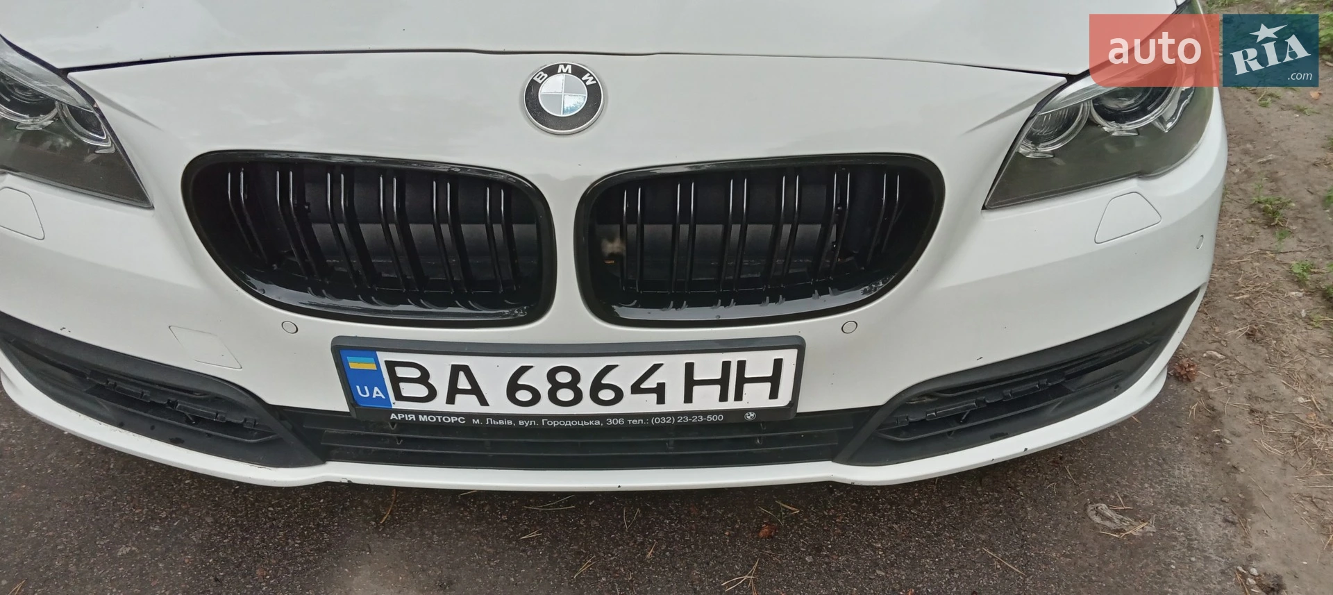 2013 BMW 5er - мініатюра 6