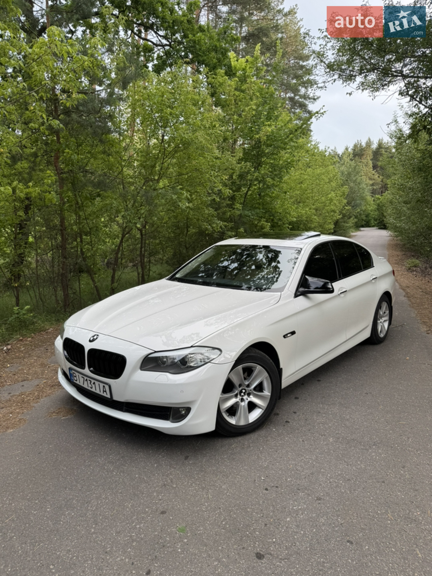 2013 BMW 5er - мініатюра 2