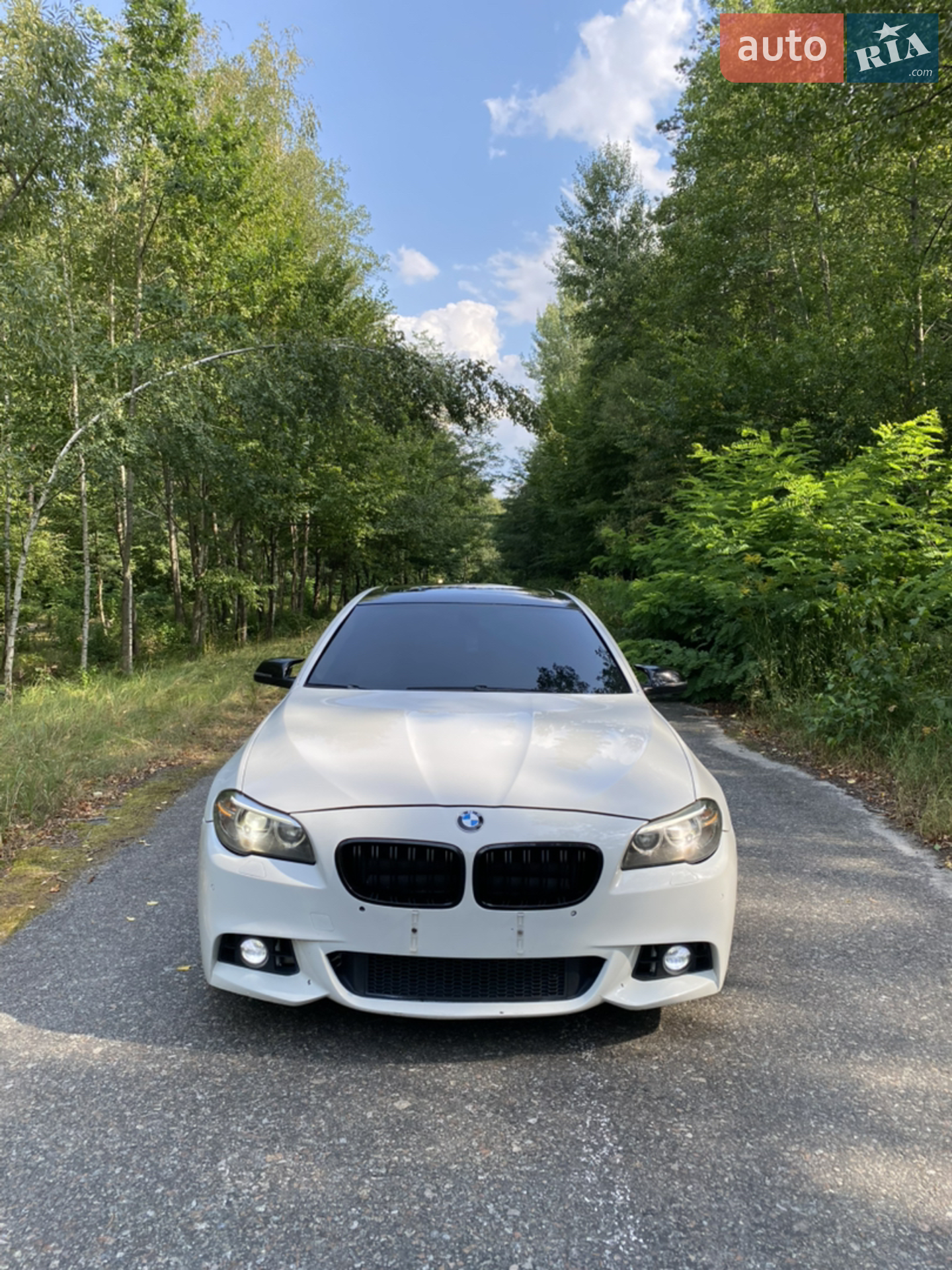 2014 BMW 5er - мініатюра 2