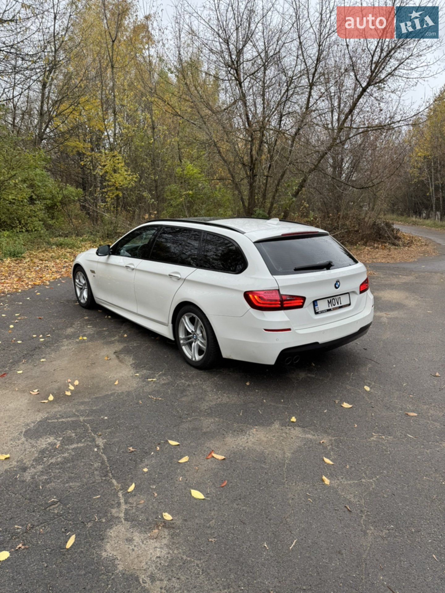 2013 BMW 5er - мініатюра 8