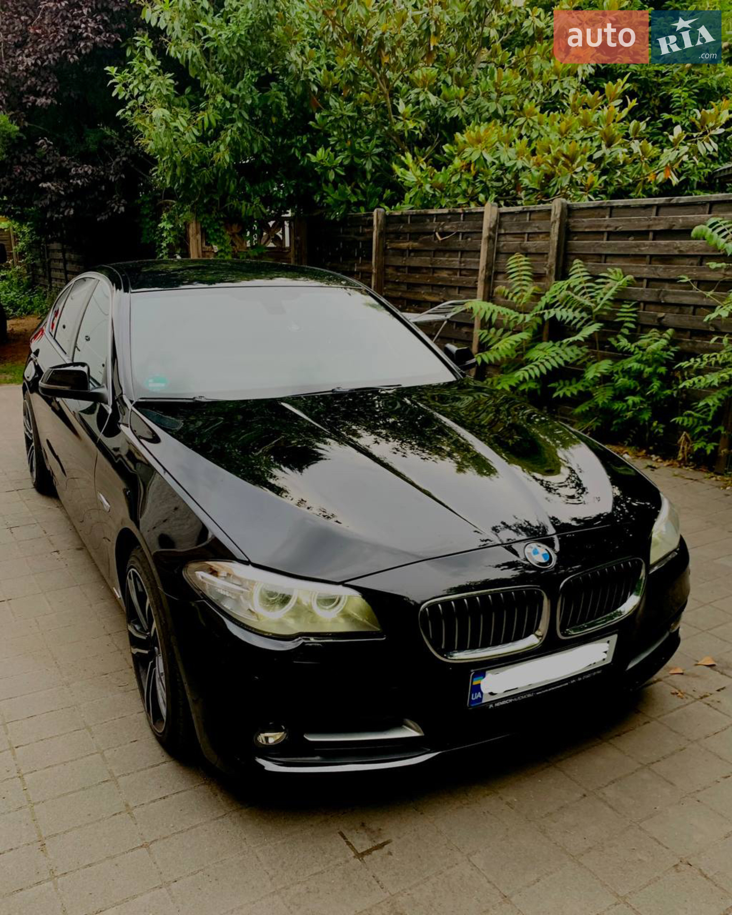 2013 BMW 5er - мініатюра 5