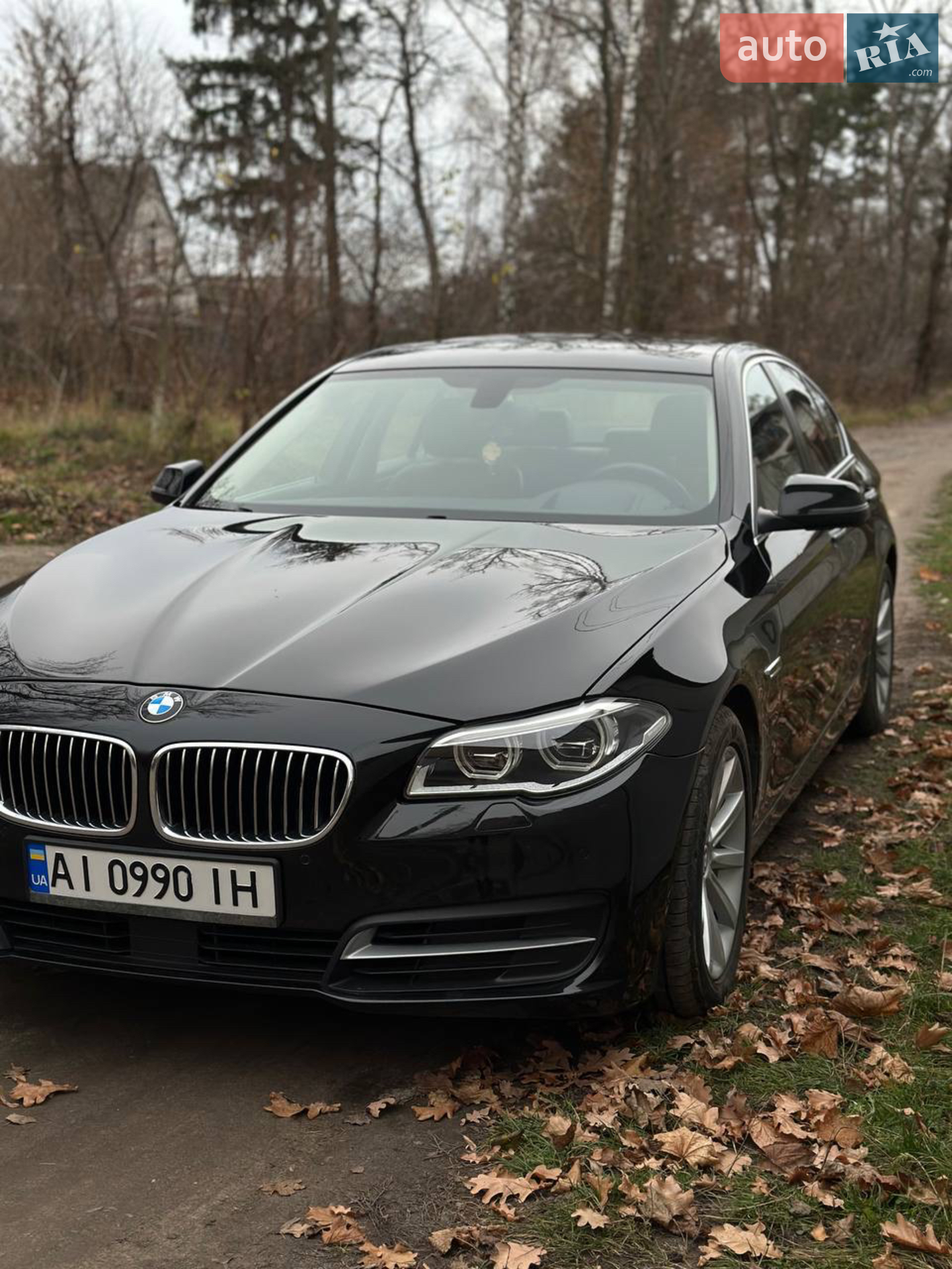 2014 BMW 5er - мініатюра 22
