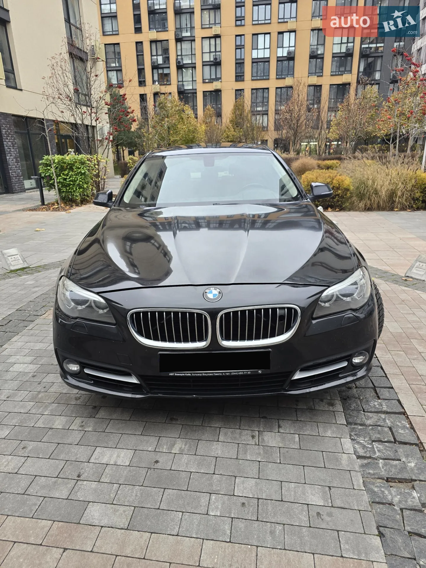 2015 BMW 5er - мініатюра 11