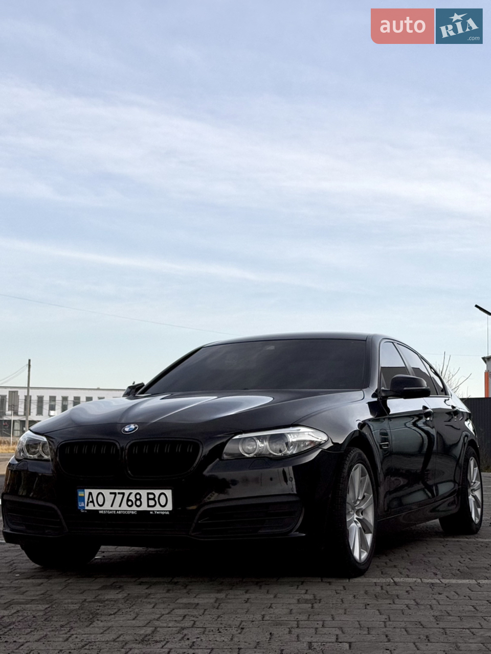 2013 BMW 5er - мініатюра 5