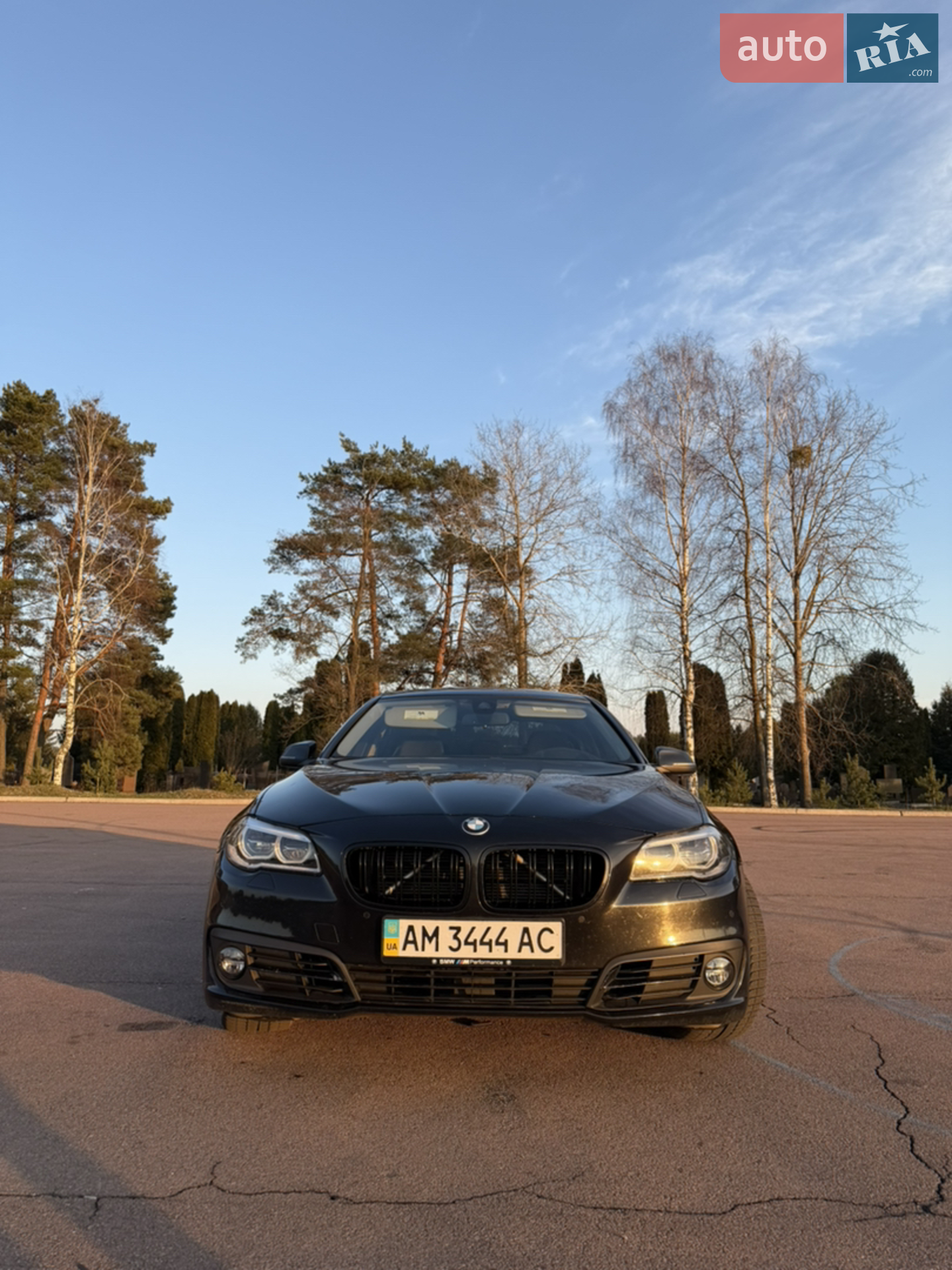 2014 BMW 5er - мініатюра 2
