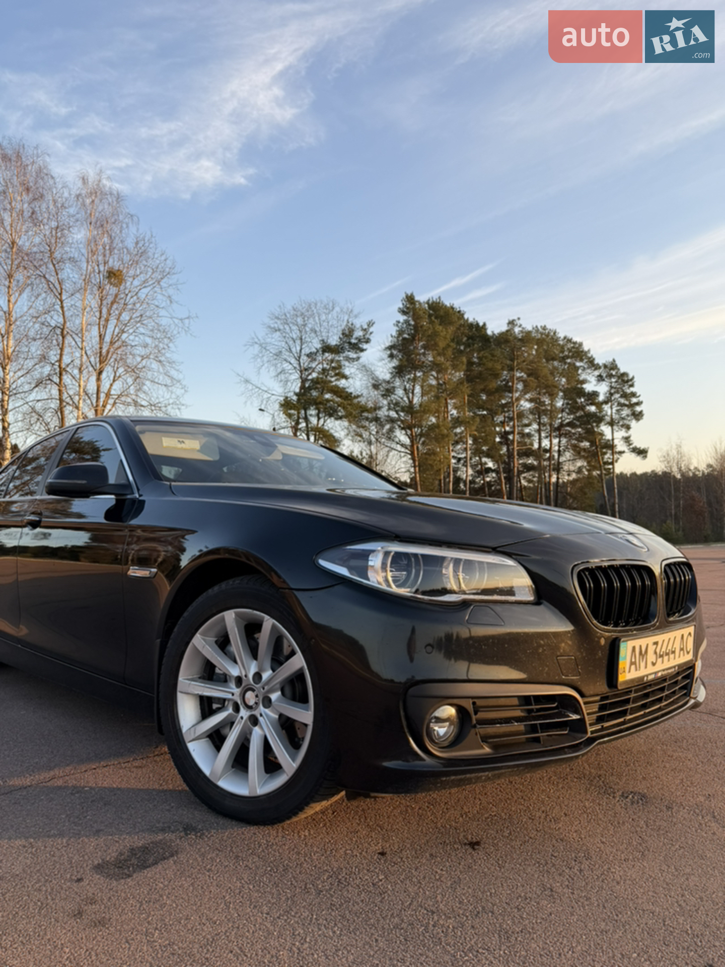 2014 BMW 5er - мініатюра 10