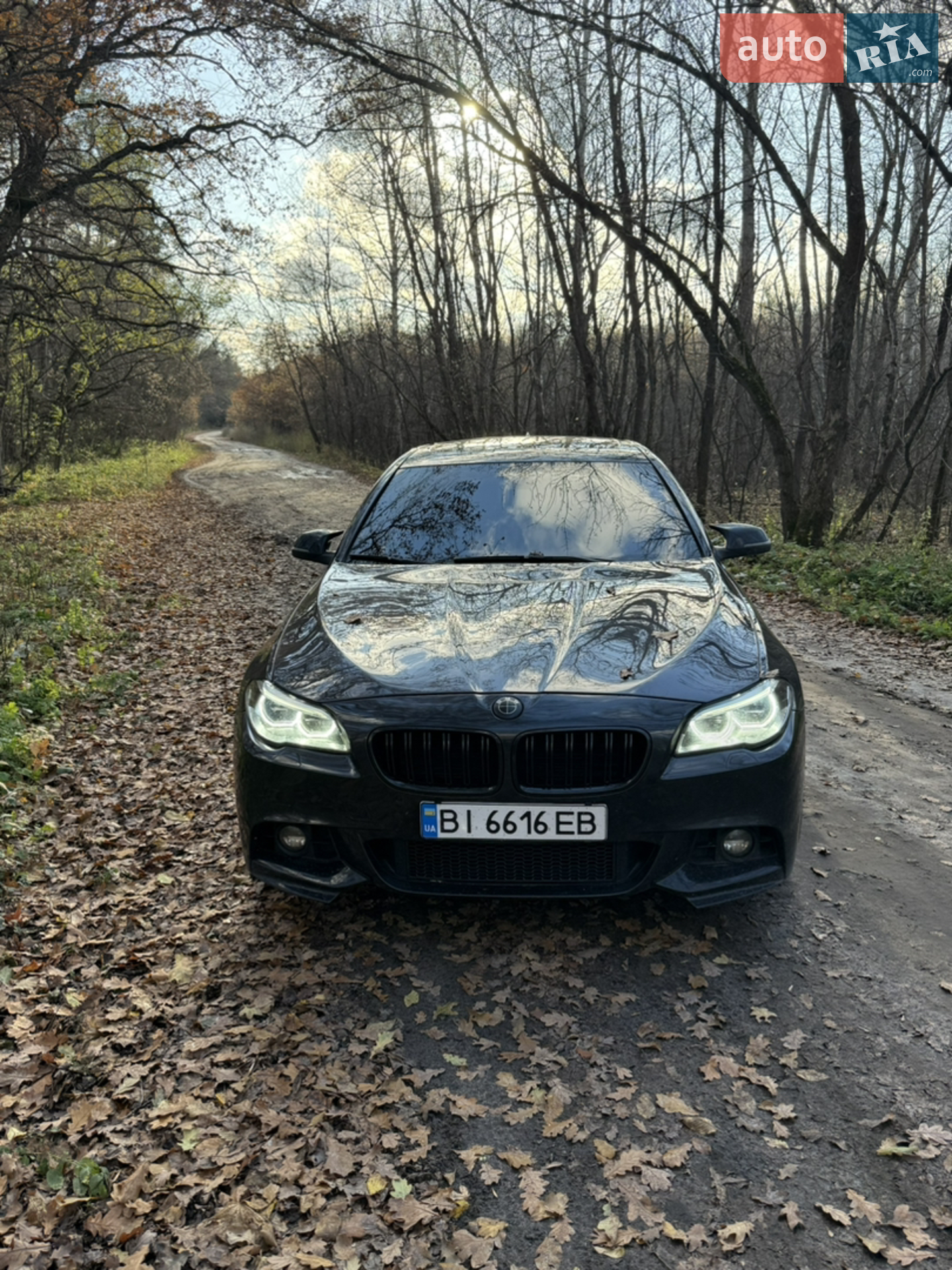 2016 BMW 5er - мініатюра 2