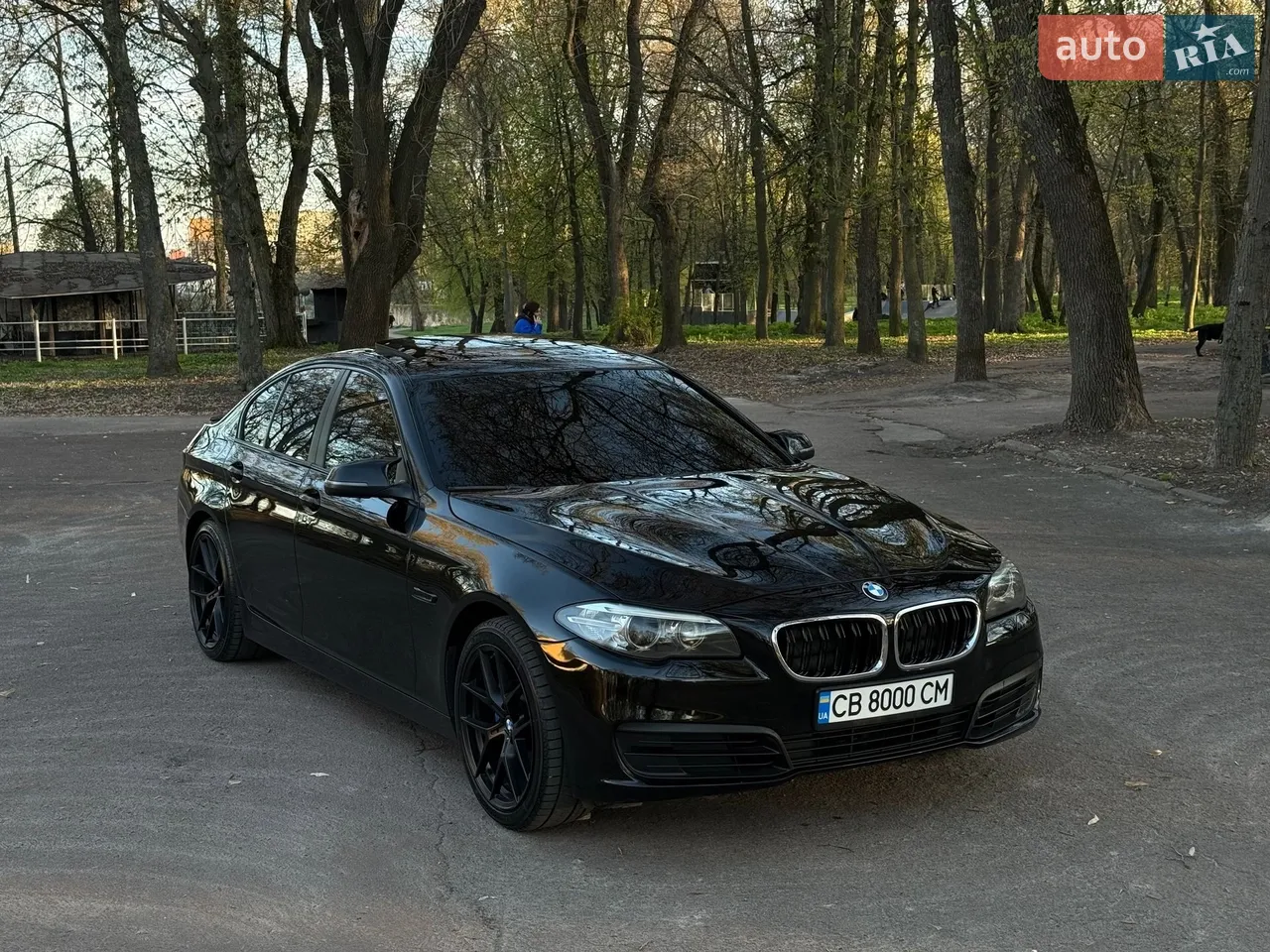 2014 BMW 5er - мініатюра 22