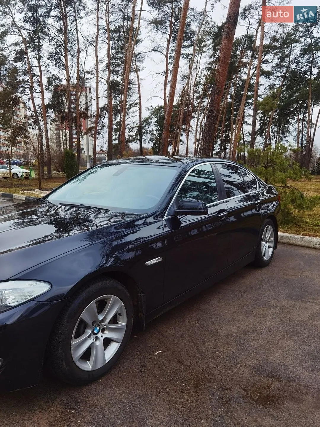 2010 BMW 5er - мініатюра 6