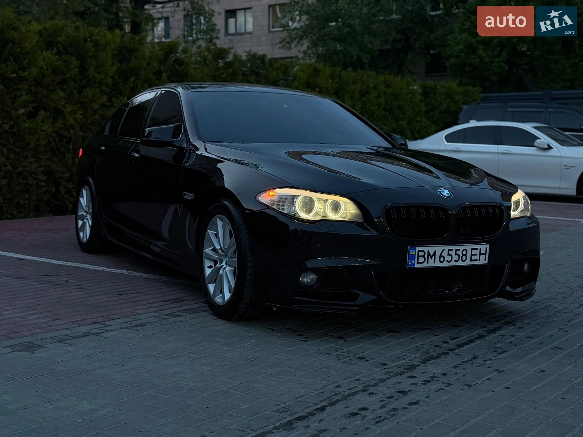 2010 BMW 5er - мініатюра 17