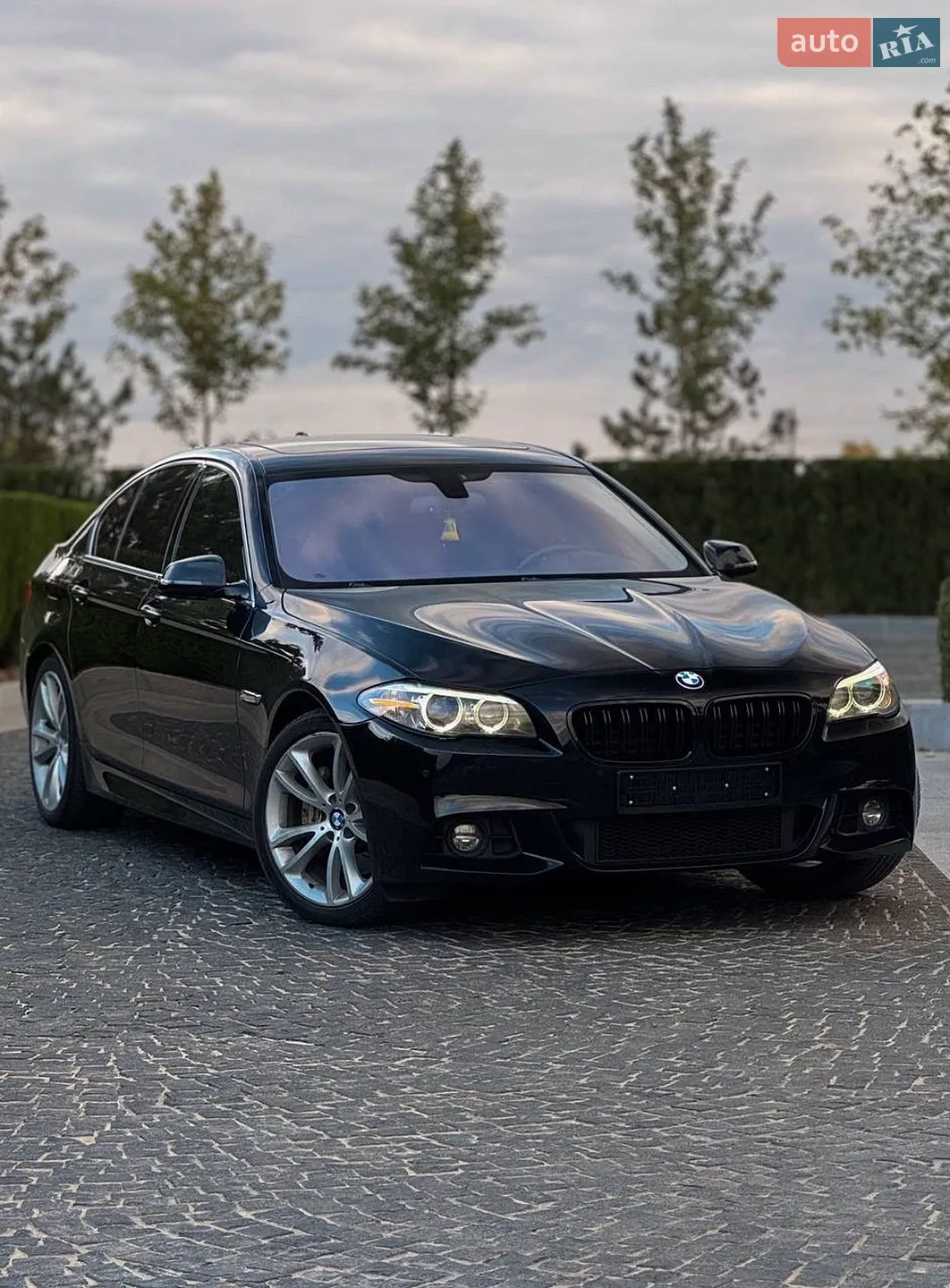 2013 BMW 5er - мініатюра 2
