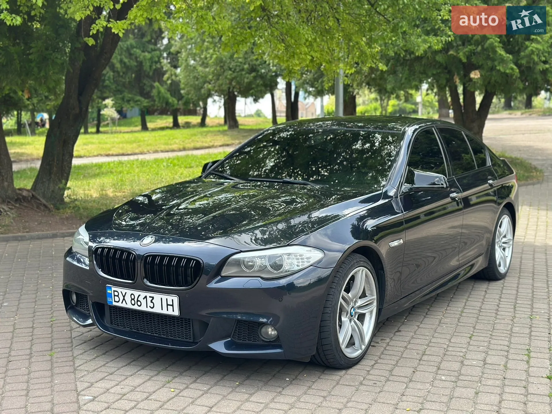 2013 BMW 5er - мініатюра 8