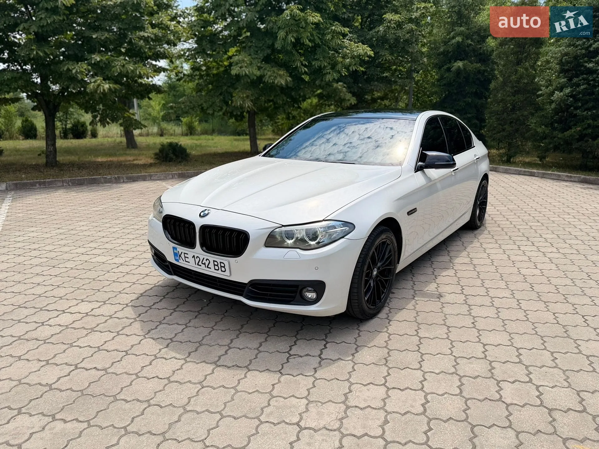2013 BMW 5er - мініатюра 2