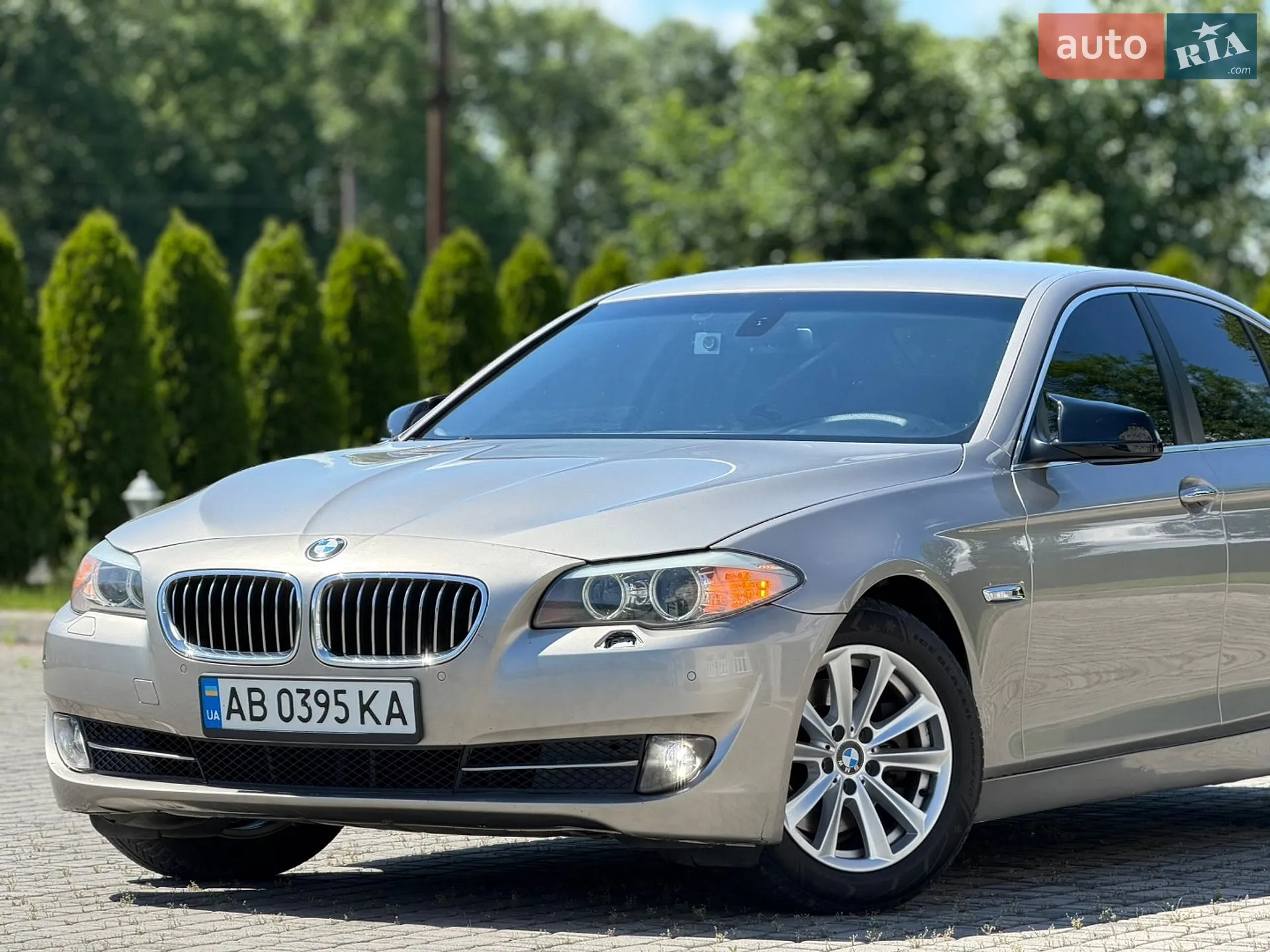 2010 BMW 5er - мініатюра 5