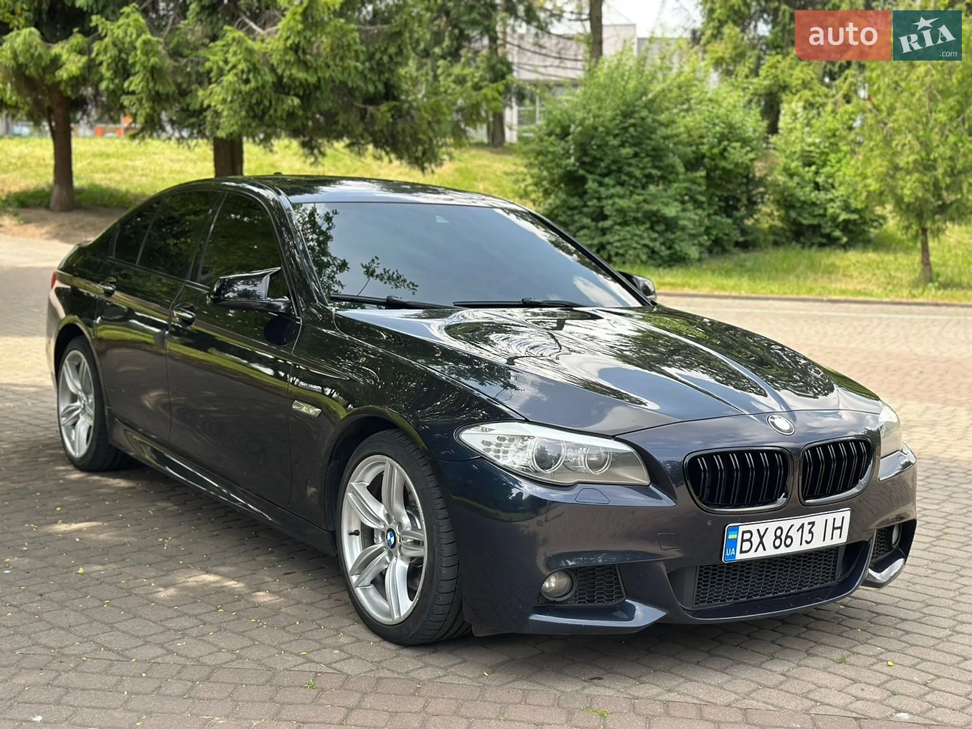 2013 BMW 5er - мініатюра 8