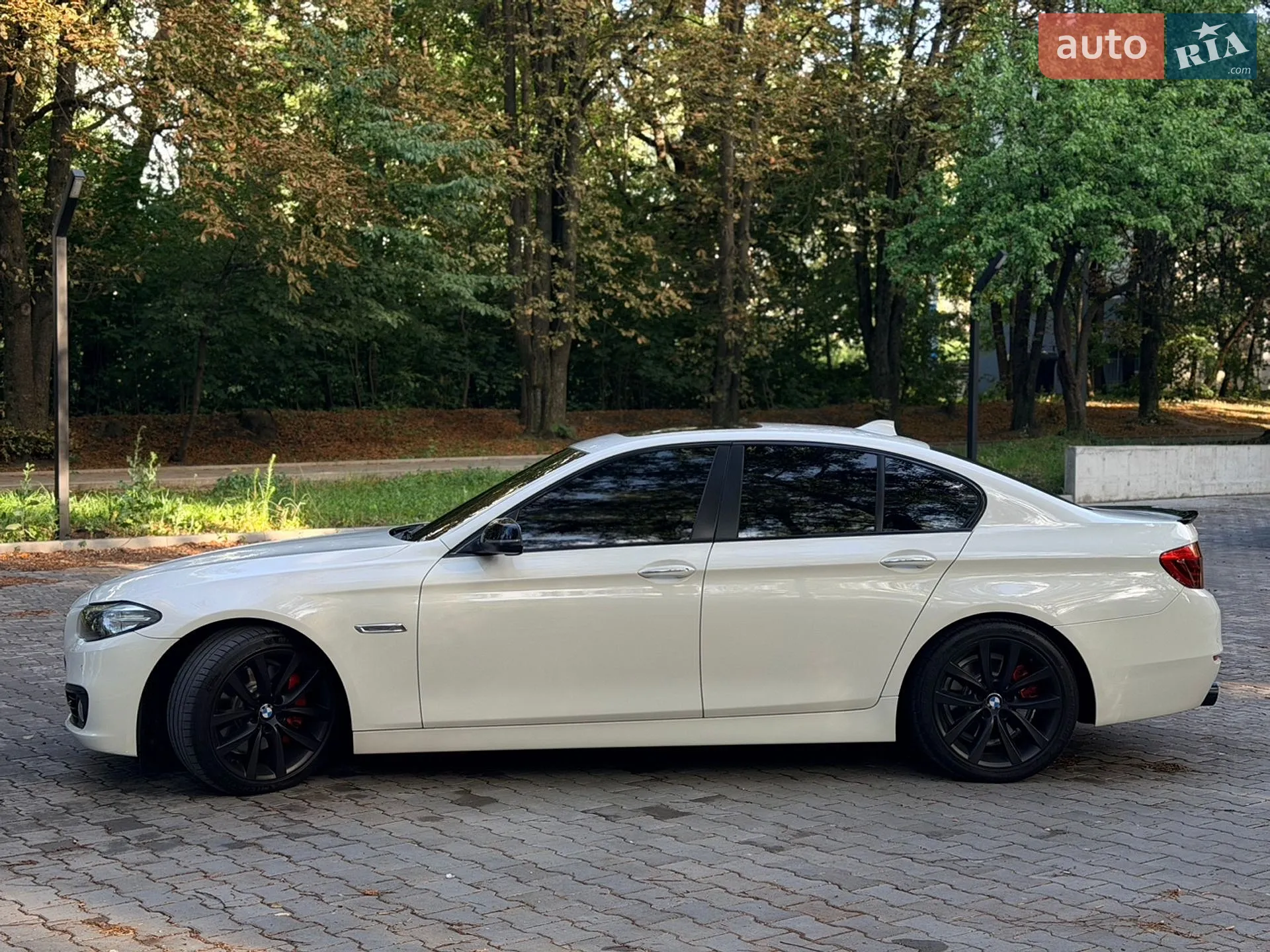 2015 BMW 5er - мініатюра 5
