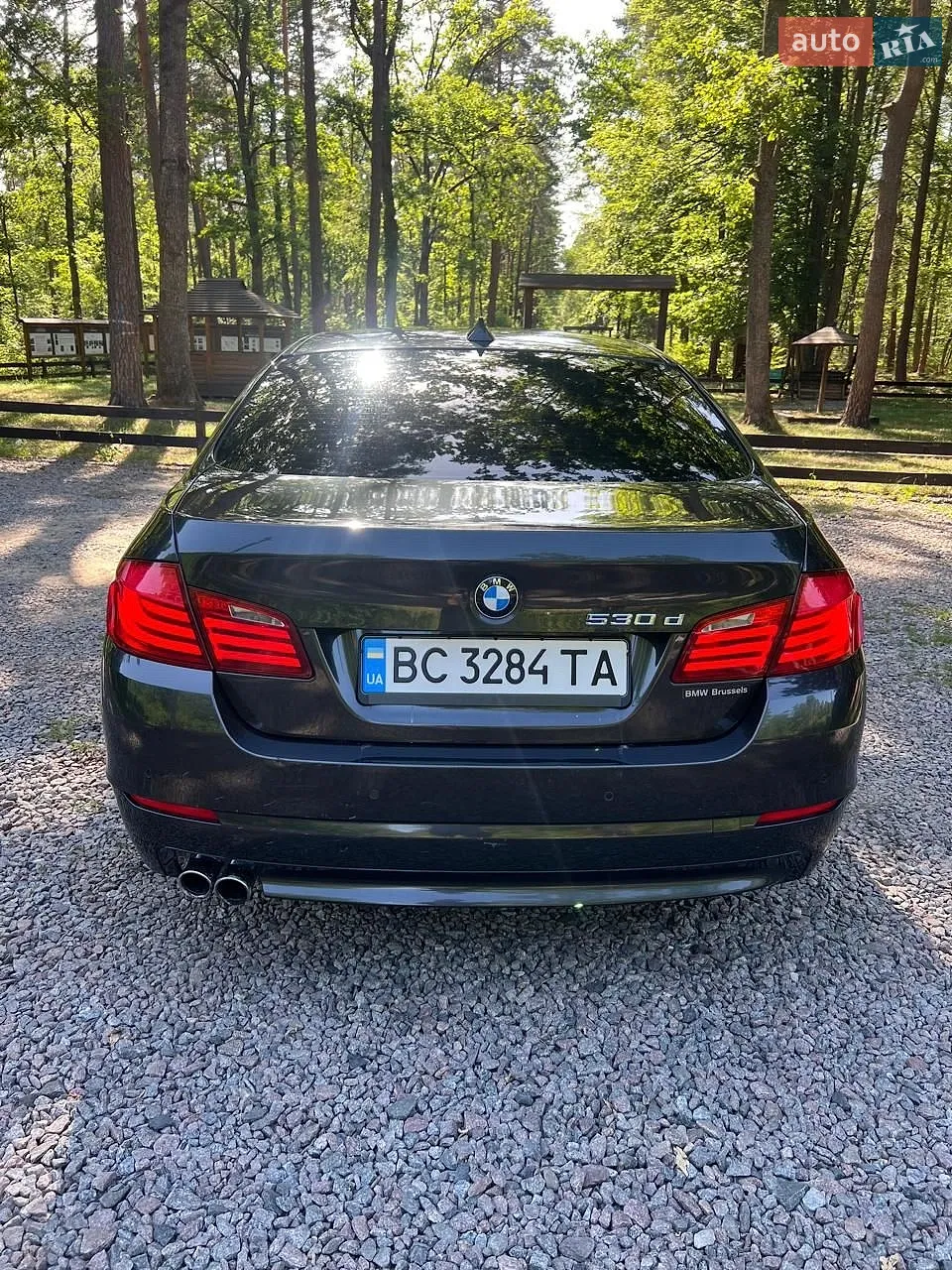 2010 BMW 5er - мініатюра 4