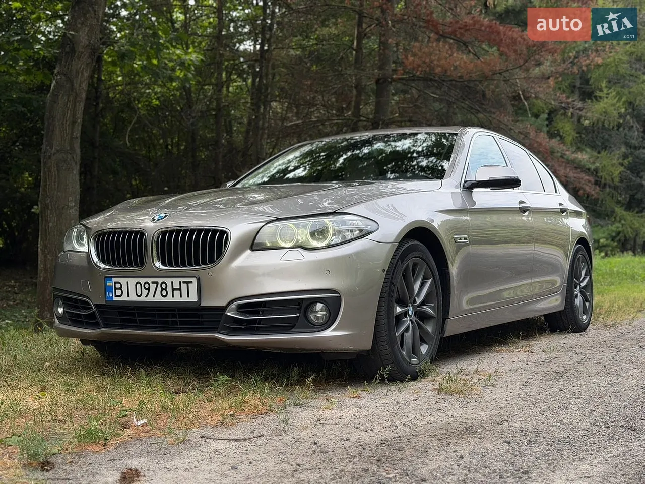 2013 BMW 5er - мініатюра 45
