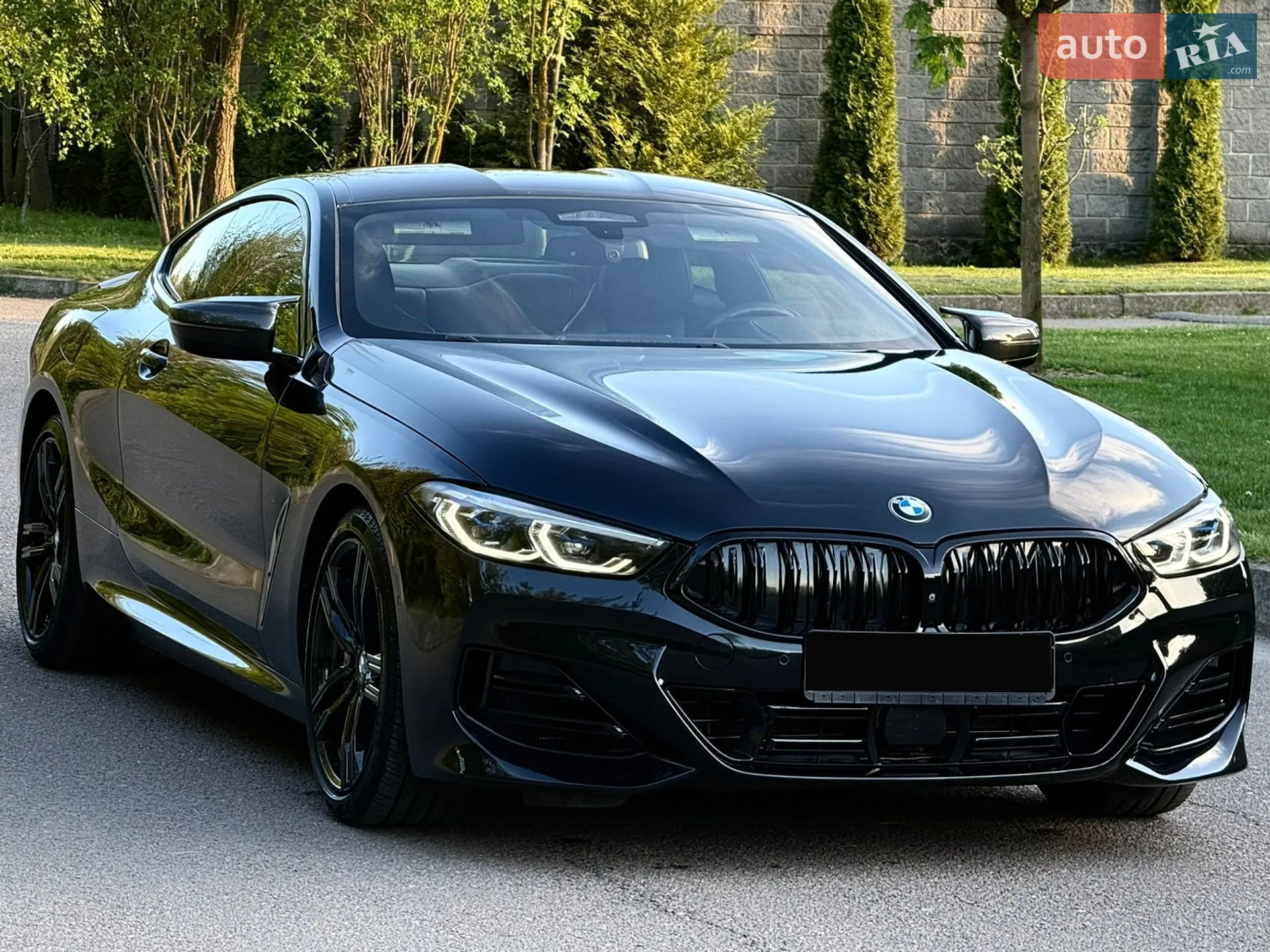 2019 BMW 8er - мініатюра 2