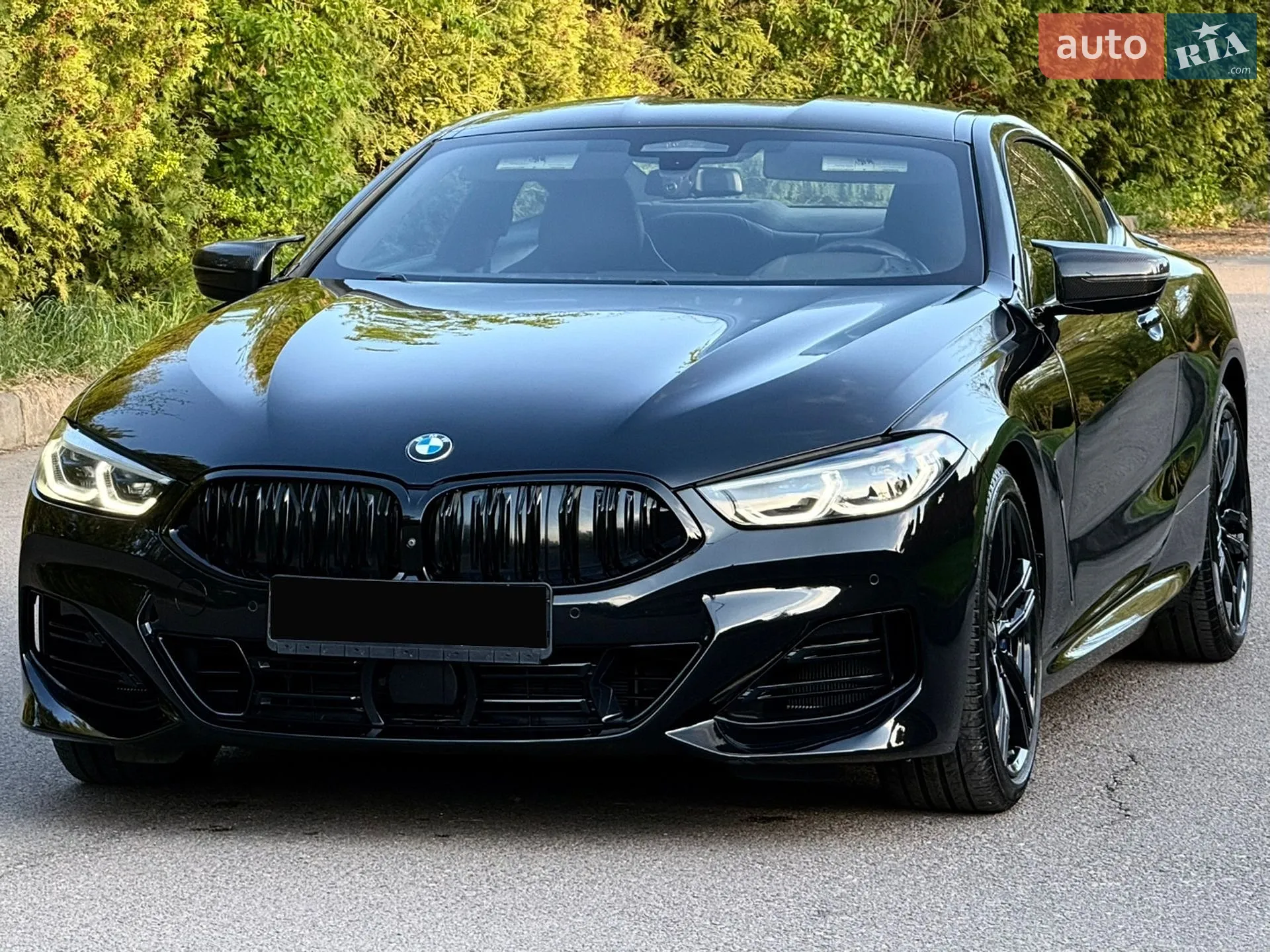 2019 BMW 8er - мініатюра 5