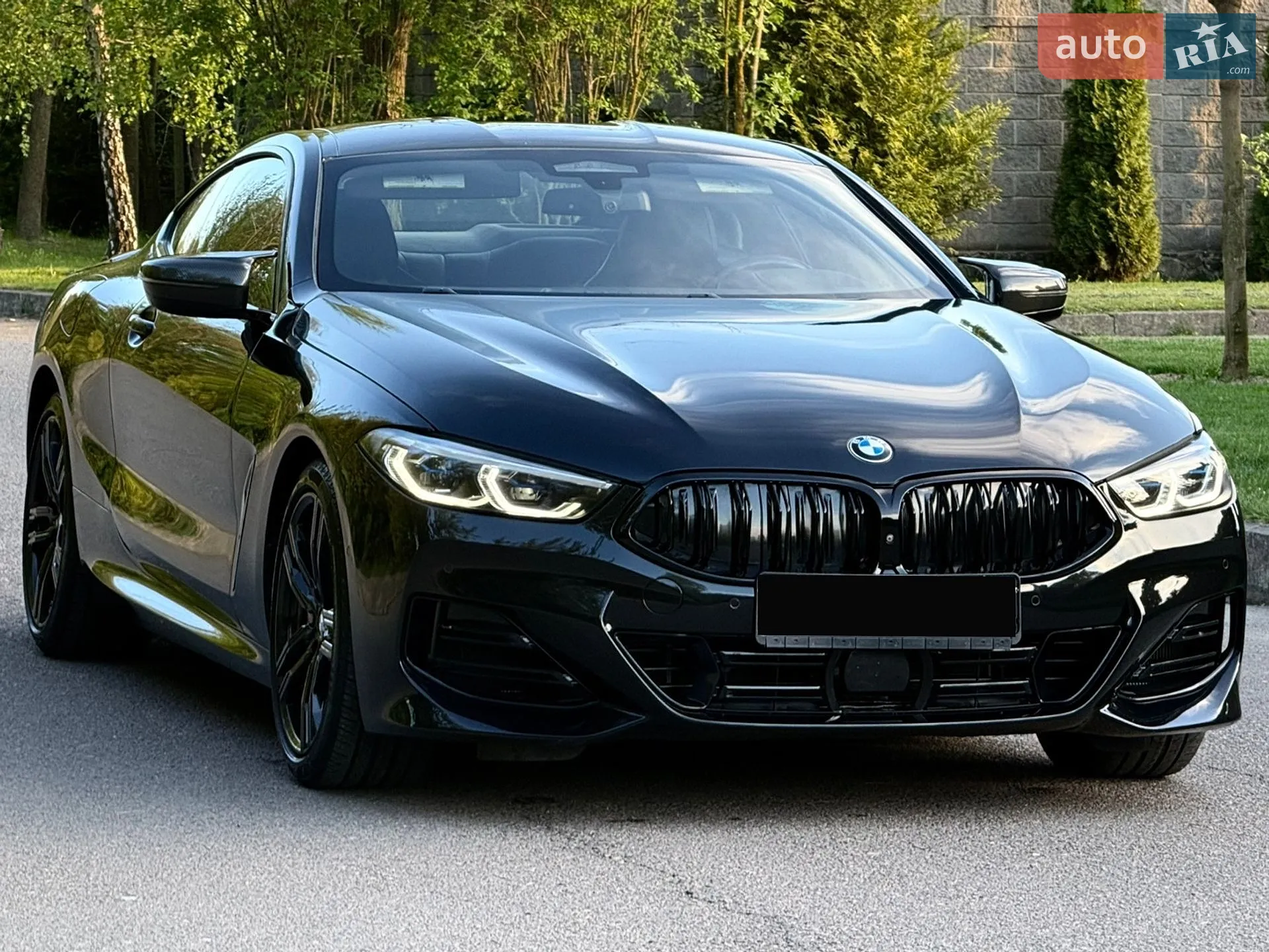 2019 BMW 8er - мініатюра 24