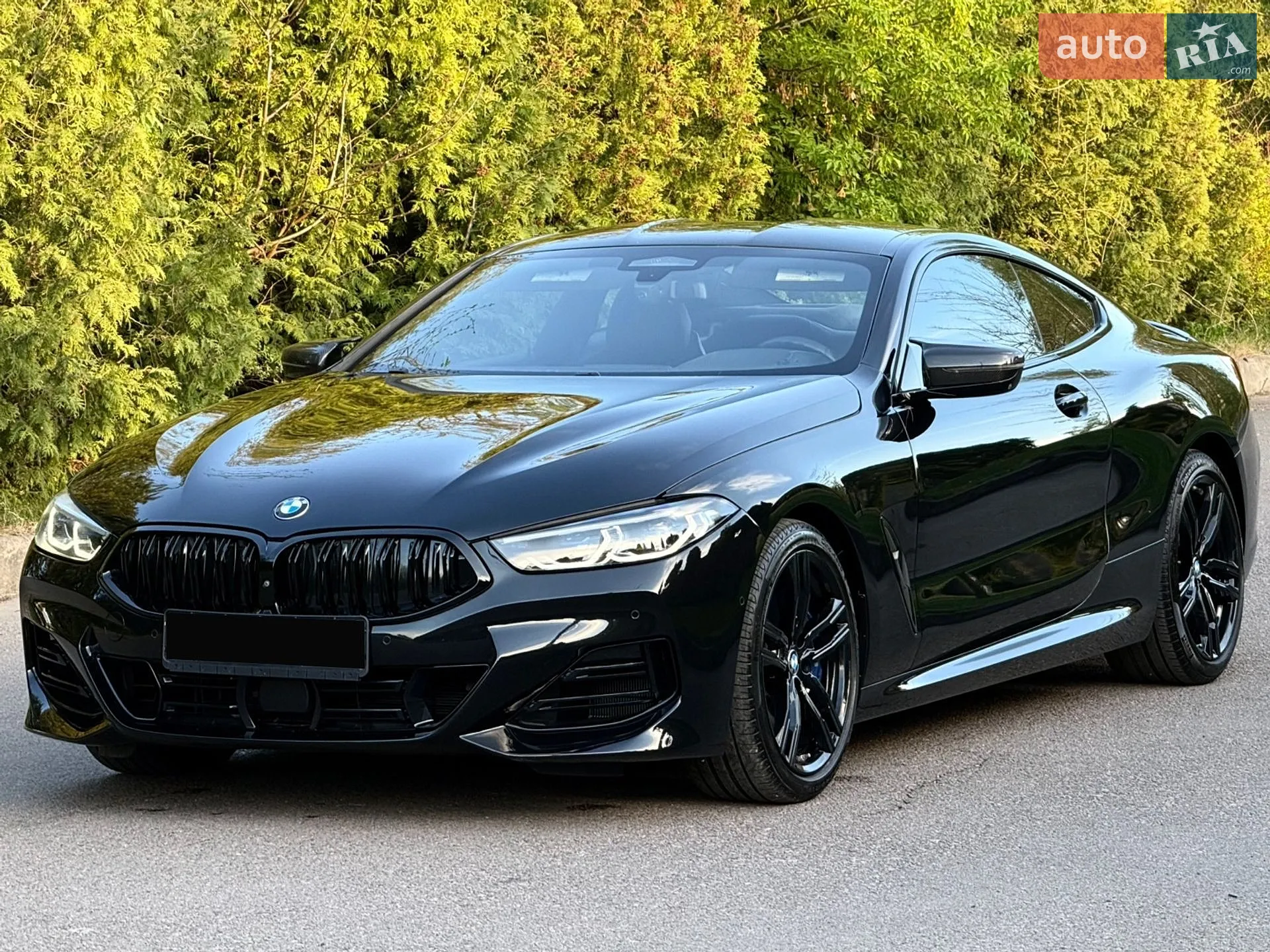2019 BMW 8er - мініатюра 26